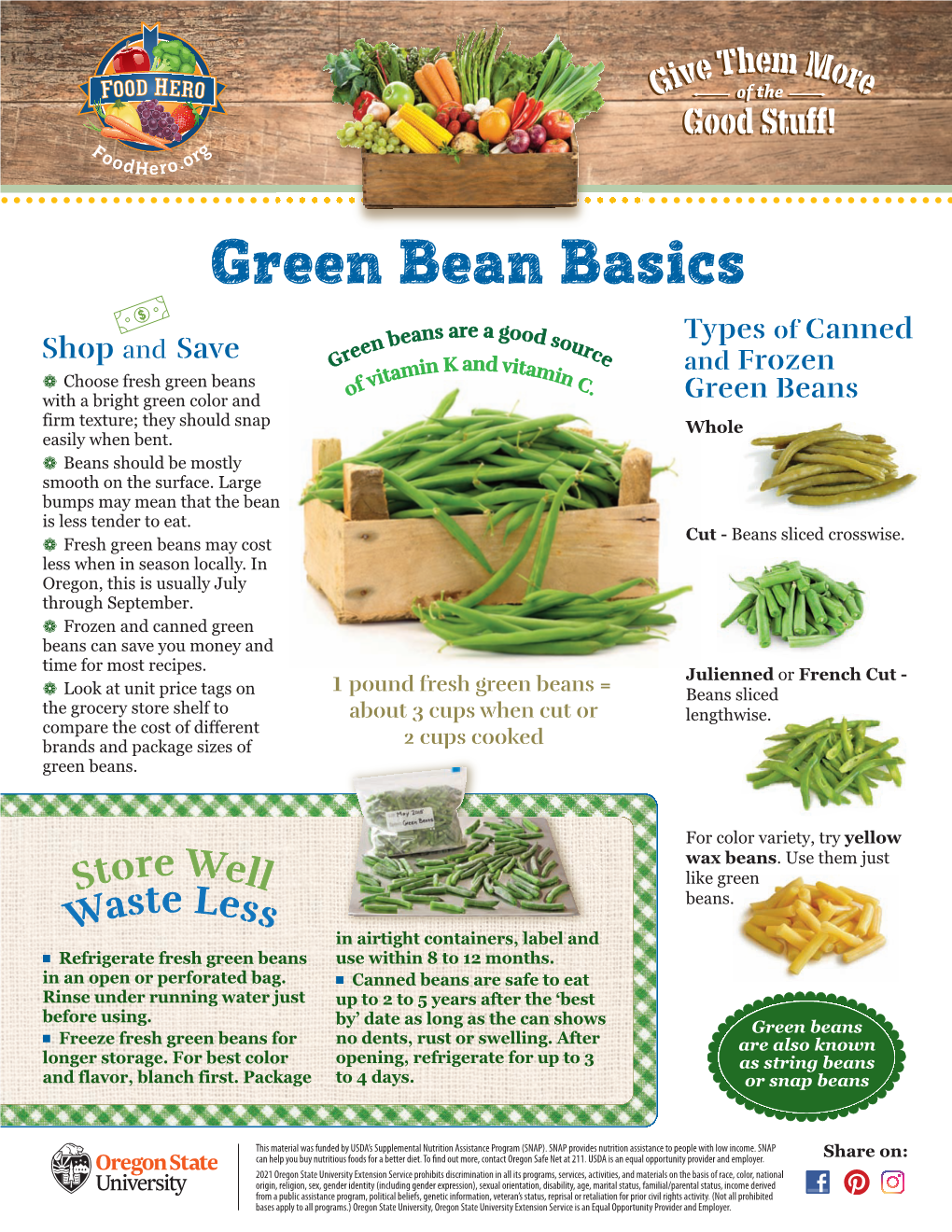 Green Bean Basics