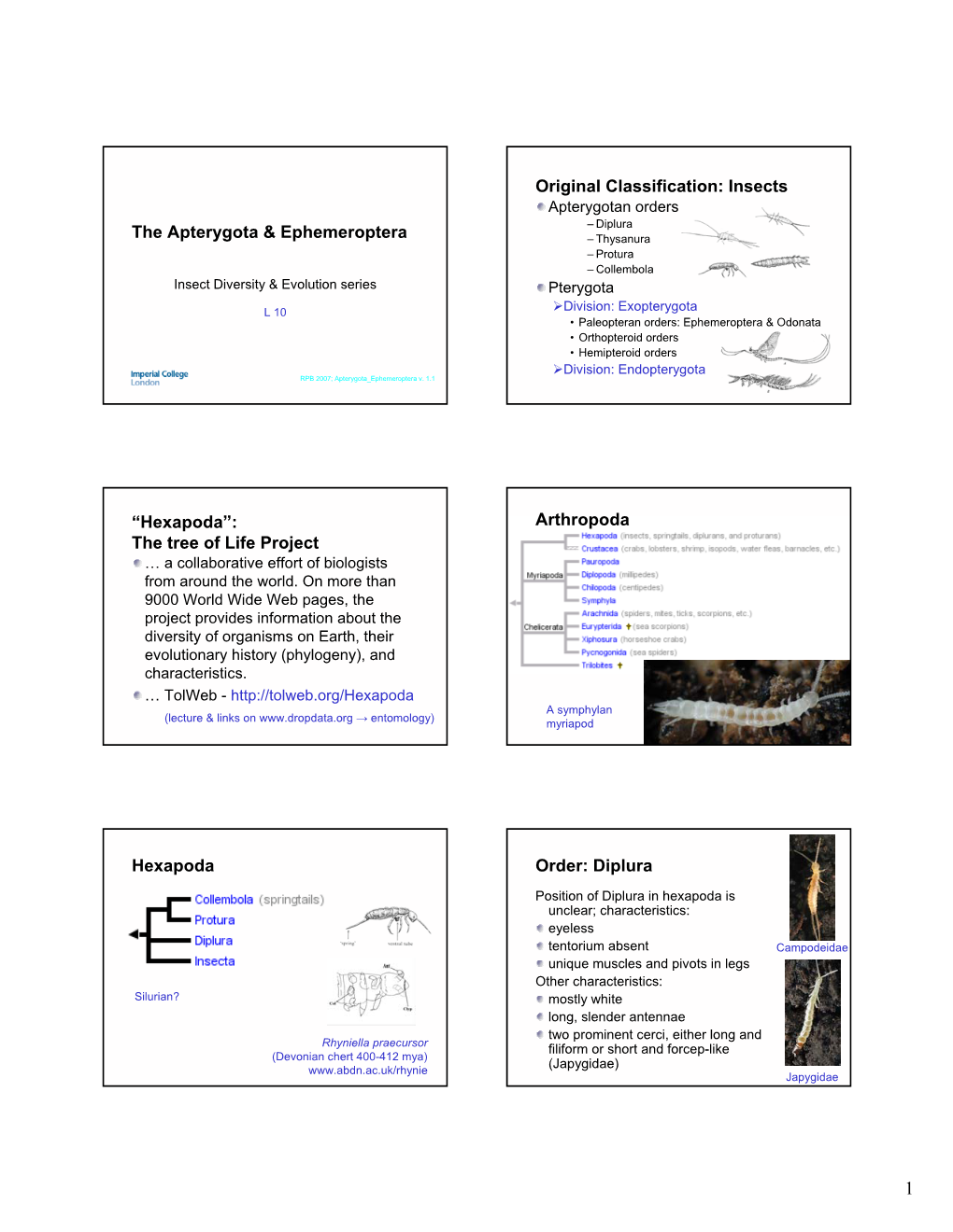 The Apterygota & Ephemeroptera Original Classification