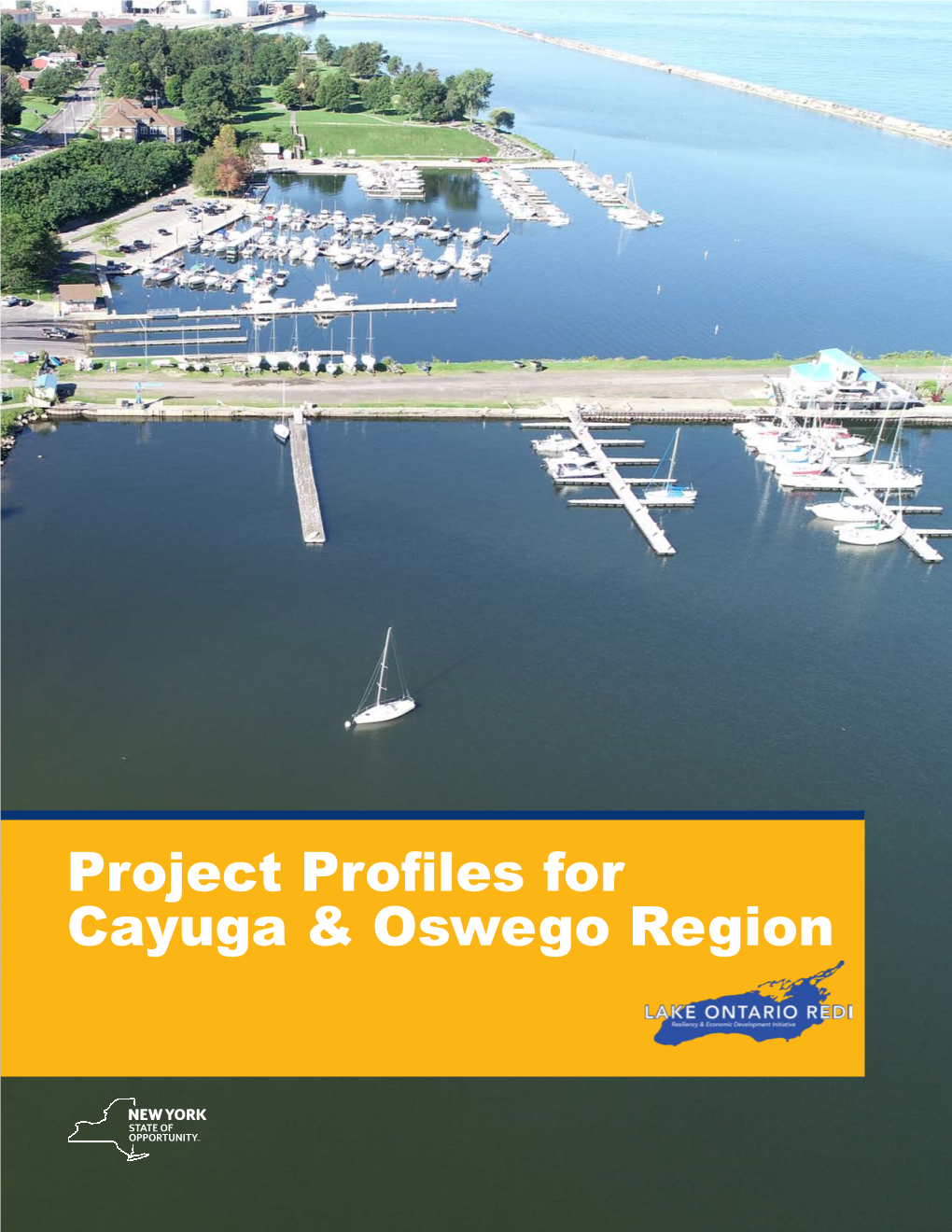 Project Profiles for Cayuga & Oswego Region