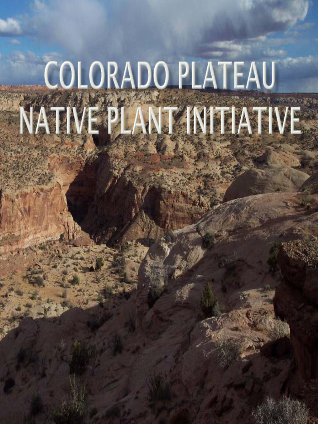 Colorado Plateau Native Plant Initiative