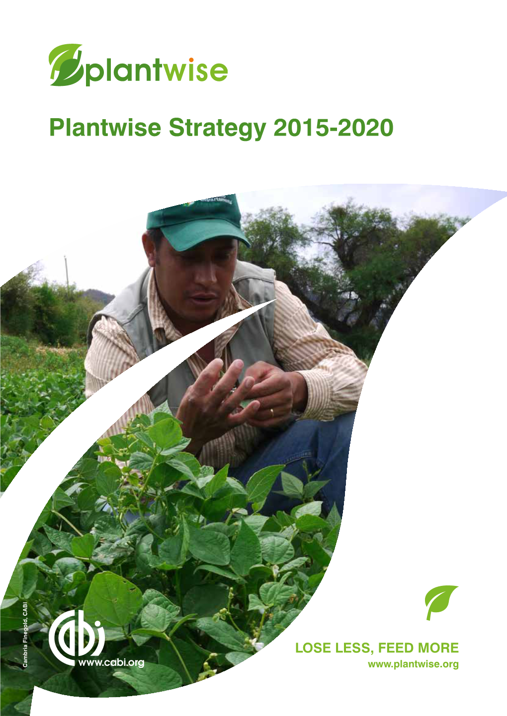 Plantwise Strategy 2015-2020