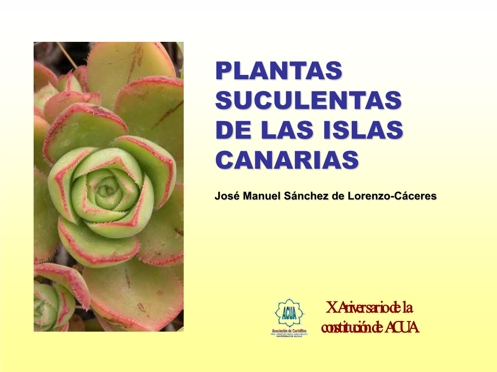 Plantas Suculentas De Las Islas Canarias