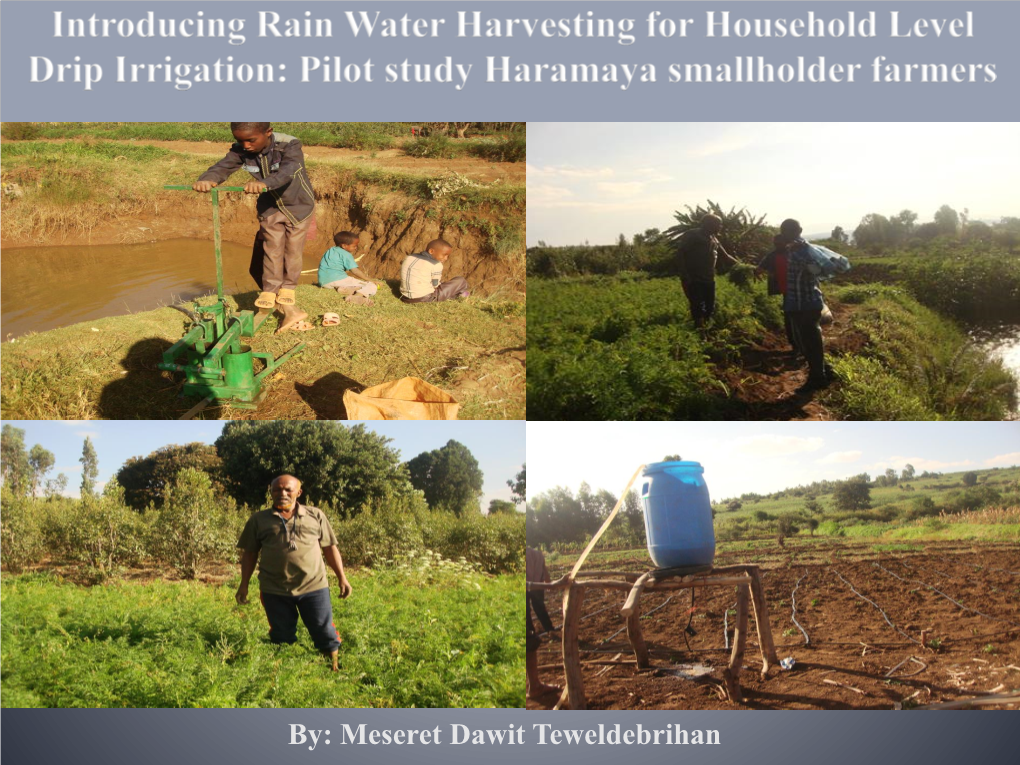 By: Meseret Dawit Teweldebrihan Shallow Wells/Ella Is One Among the Existing Water Harvesting Technologies to Improve Agricultural Production at Household Level