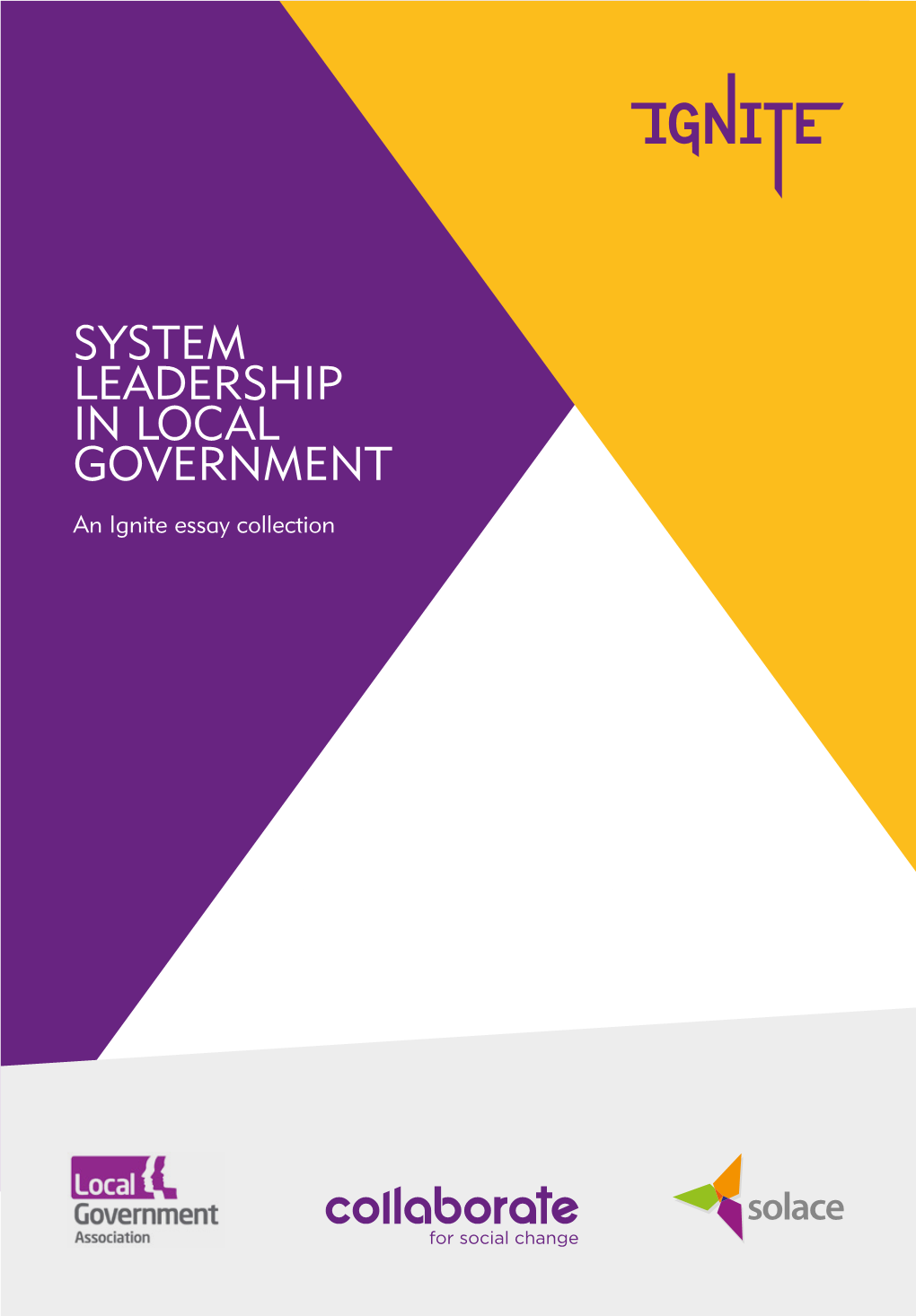 SYSTEM LEADERSHIP in LOCAL GOVERNMENT an Ignite Essay Collection 2 3