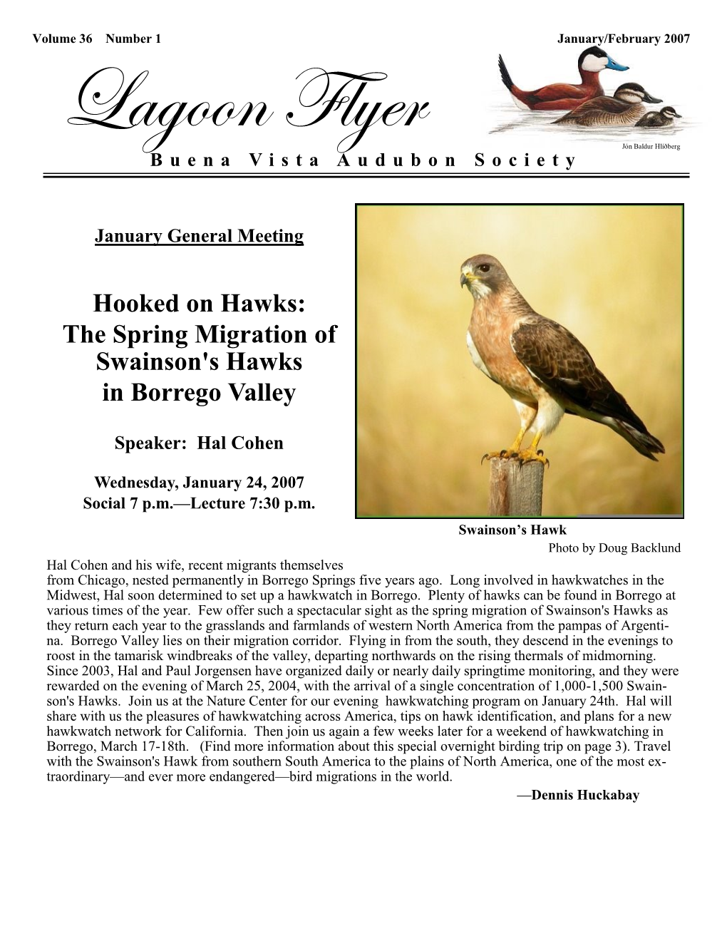 Hooked on Hawks: the Spring Migration of Swainson's Hawks in Borrego Valley