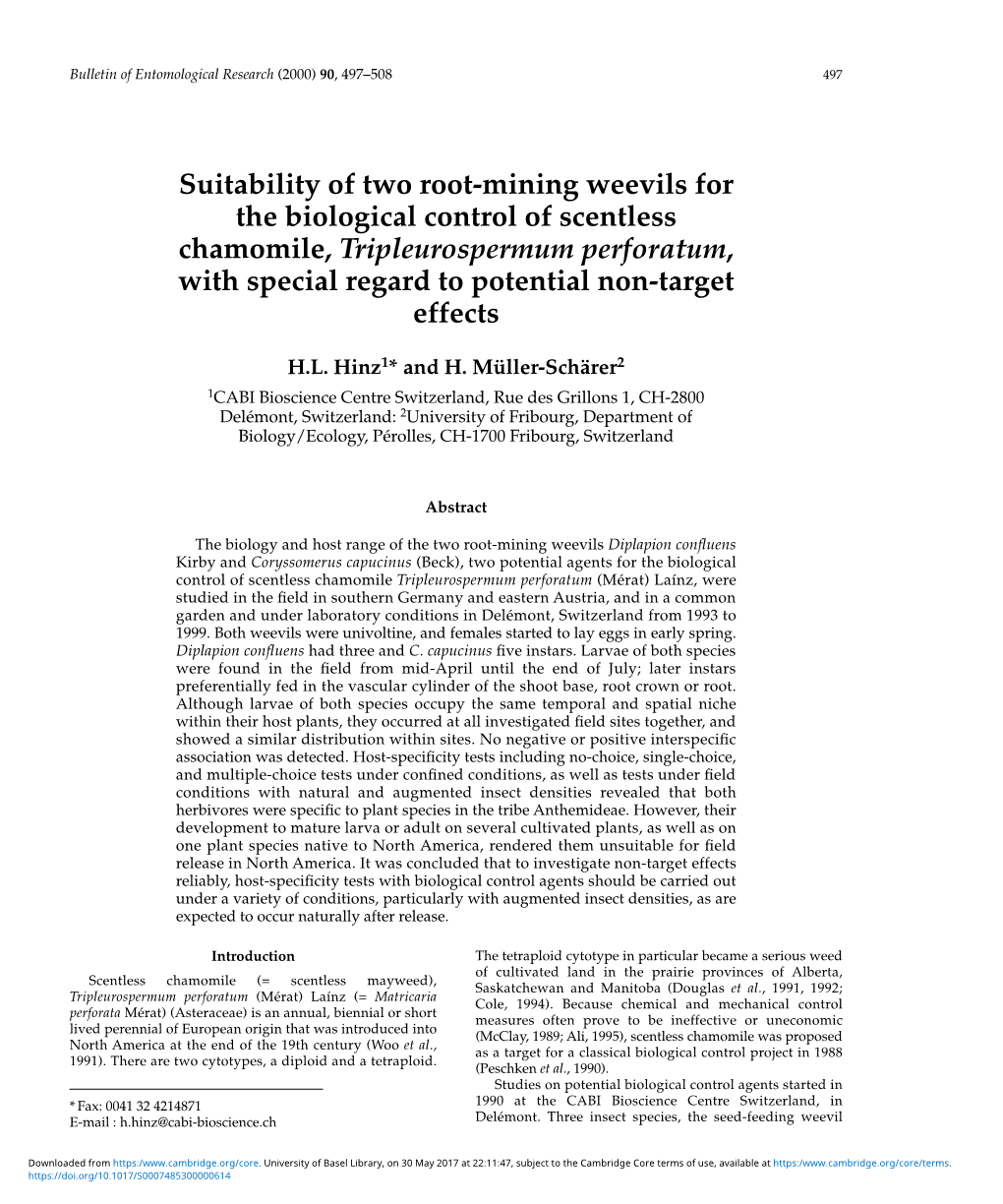 Suitability of Two Root-Mining Weevils for the Biological Control Of