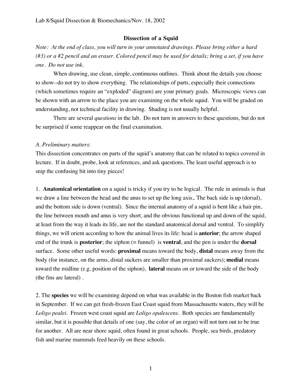 Lab 8/Squid Dissection & Biomechanics/Nov. 18, 2002