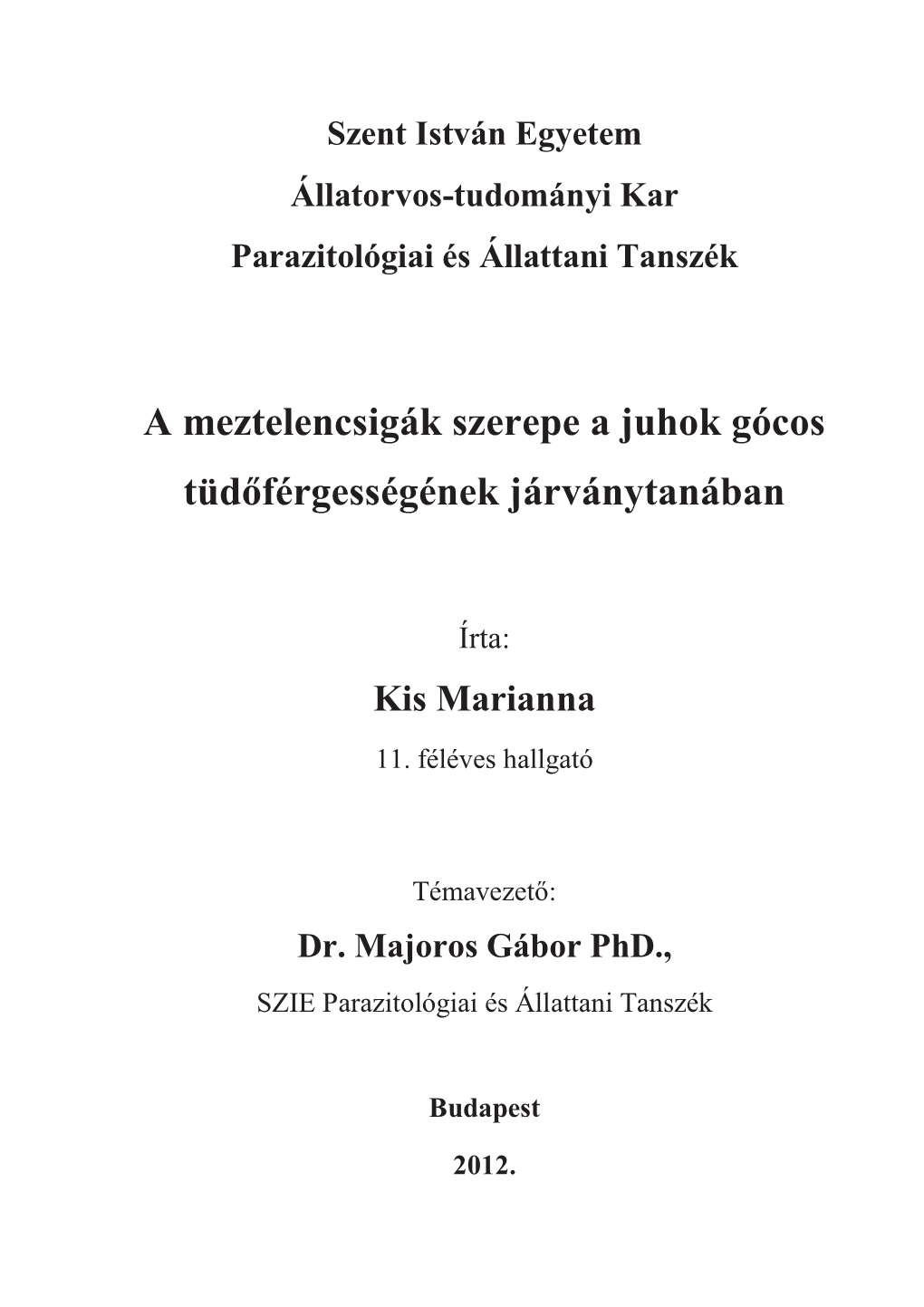 Kis Marianna Thesis