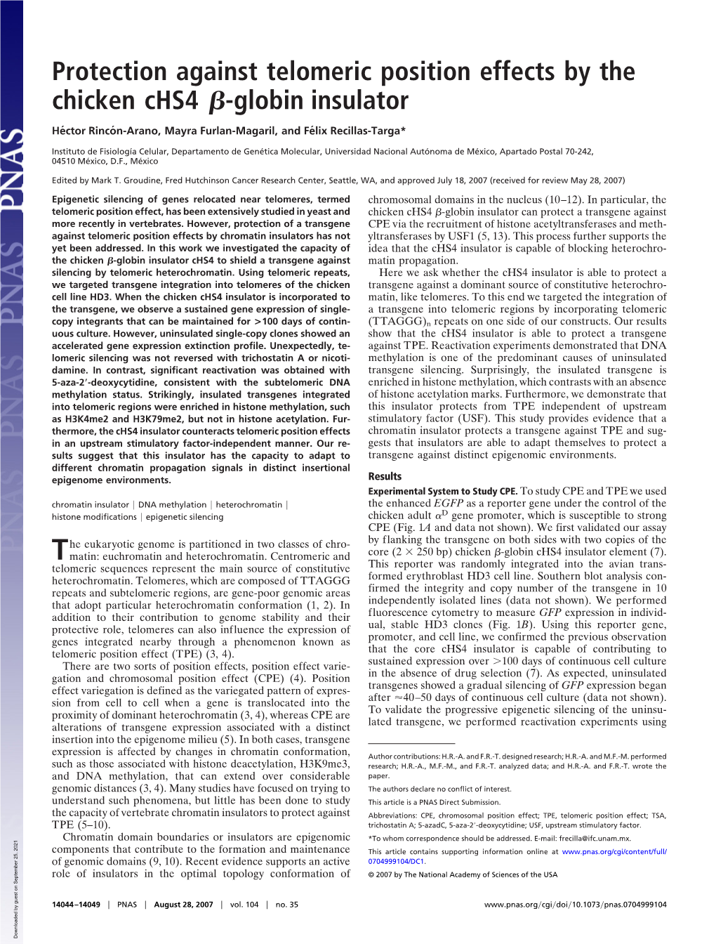 Protection Against Telomeric Position Effects by the Chicken Chs4 ß-Globin Insulator