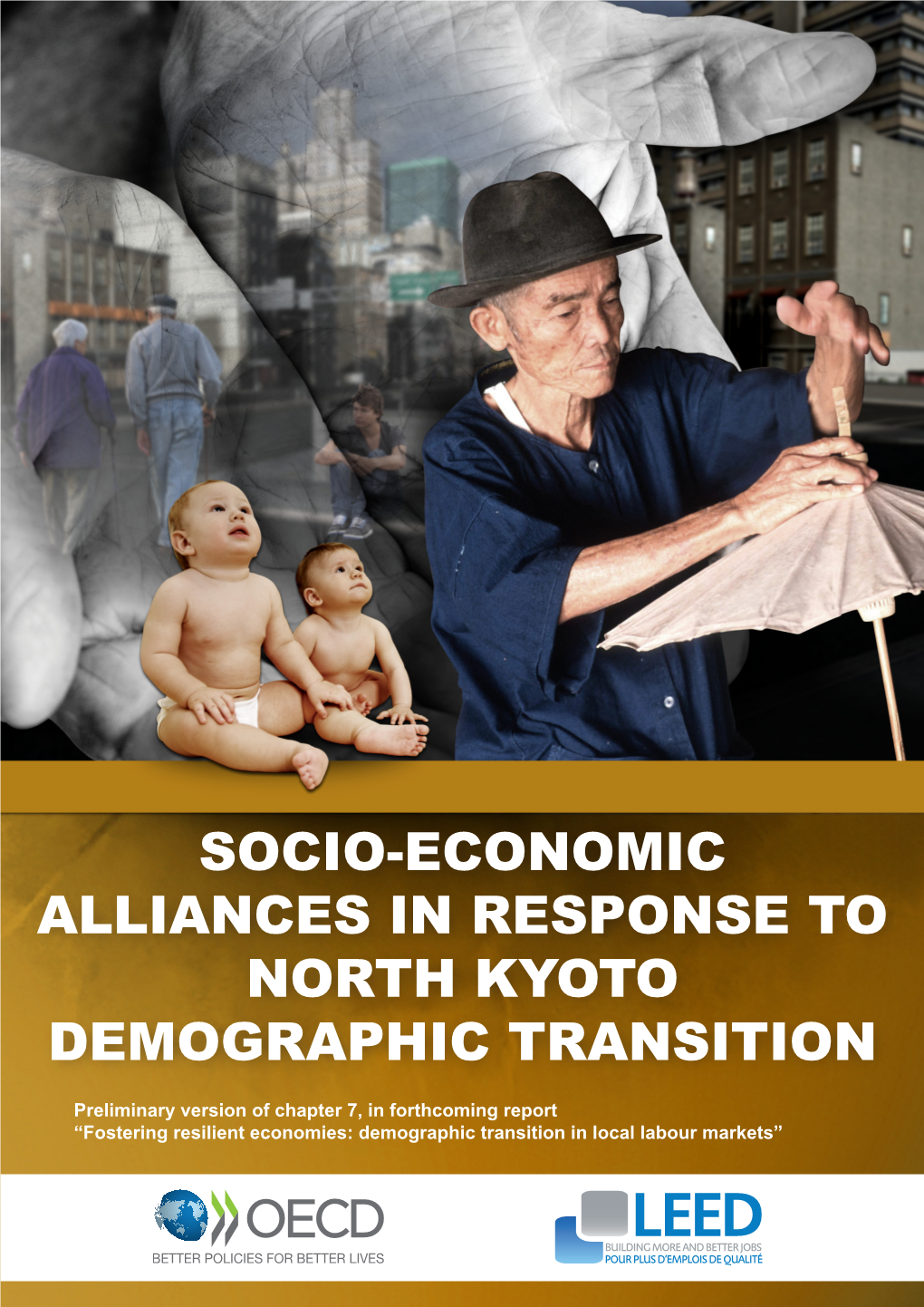 Socio-Economic Alliances in Response to North Kyoto Demographic Transition