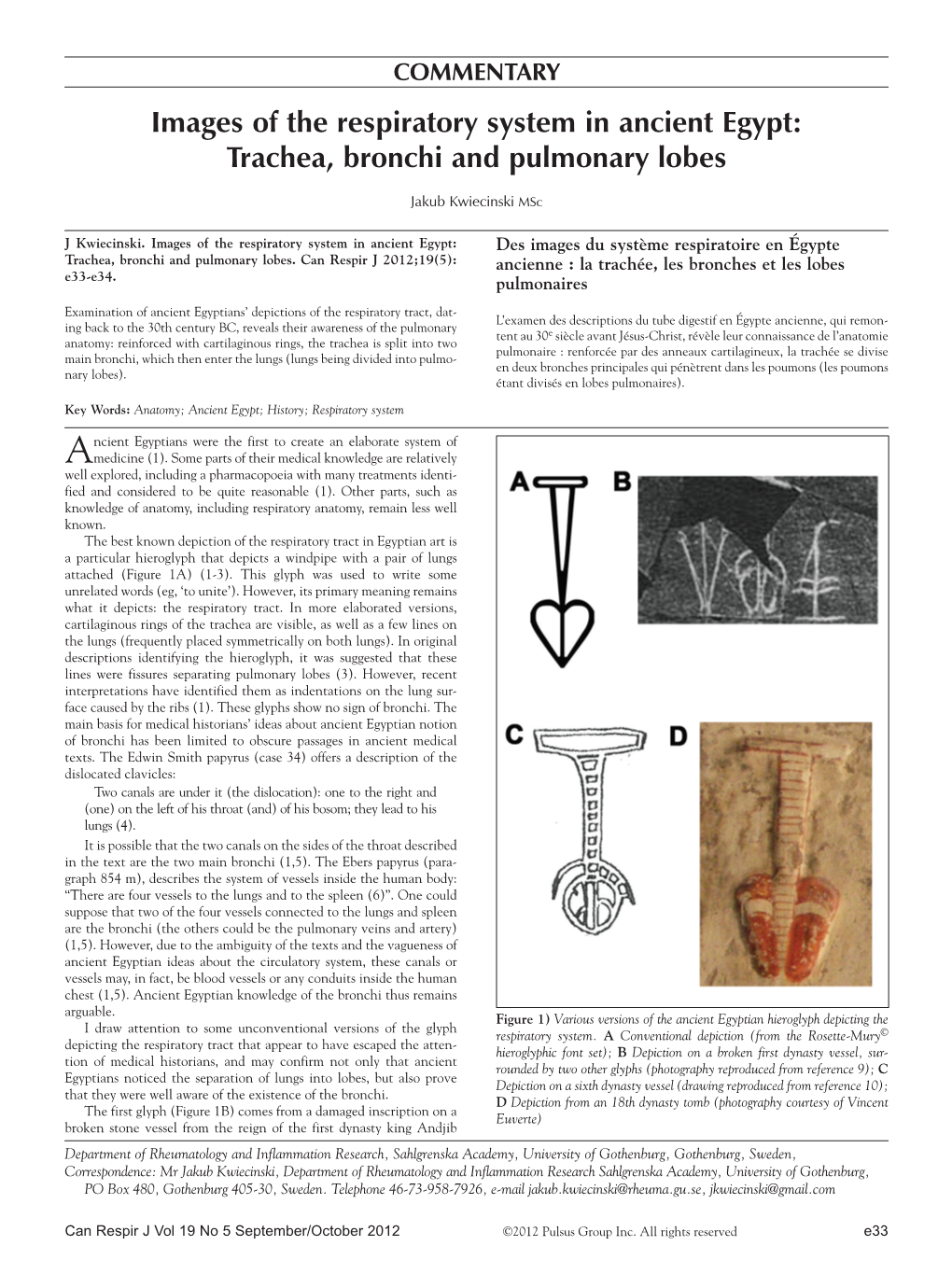 Images of the Respiratory System in Ancient Egypt: Trachea, Bronchi and Pulmonary Lobes