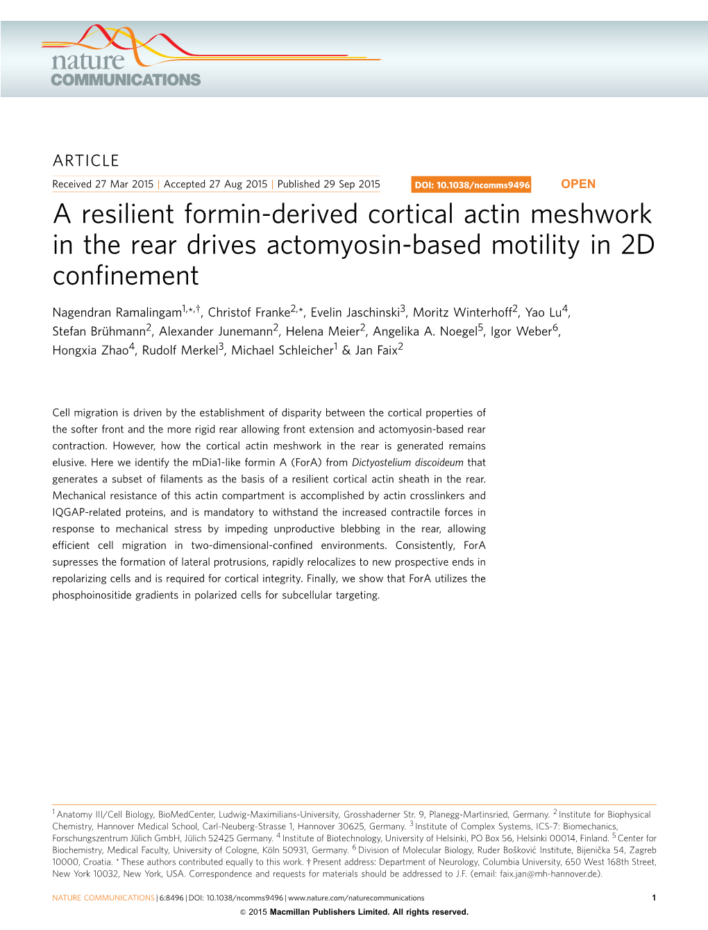 A Resilient Formin-Derived Cortical Actin Meshwork in the Rear Drives Actomyosin-Based Motility in 2D Conﬁnement