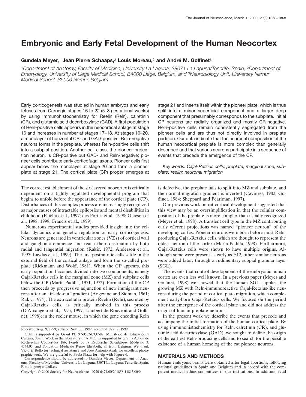 Embryonic and Early Fetal Development of the Human Neocortex