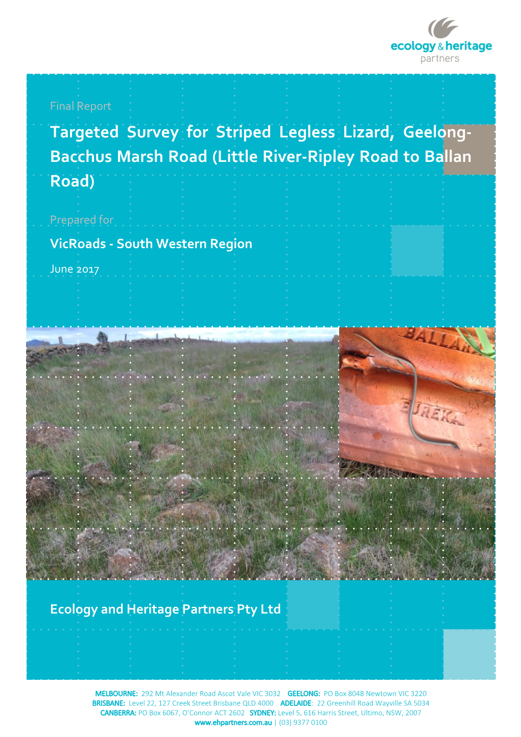 Targeted Survey for Striped Legless Lizard, Geelong- Bacchus Marsh Road (Little River-Ripley Road to Ballan Road)