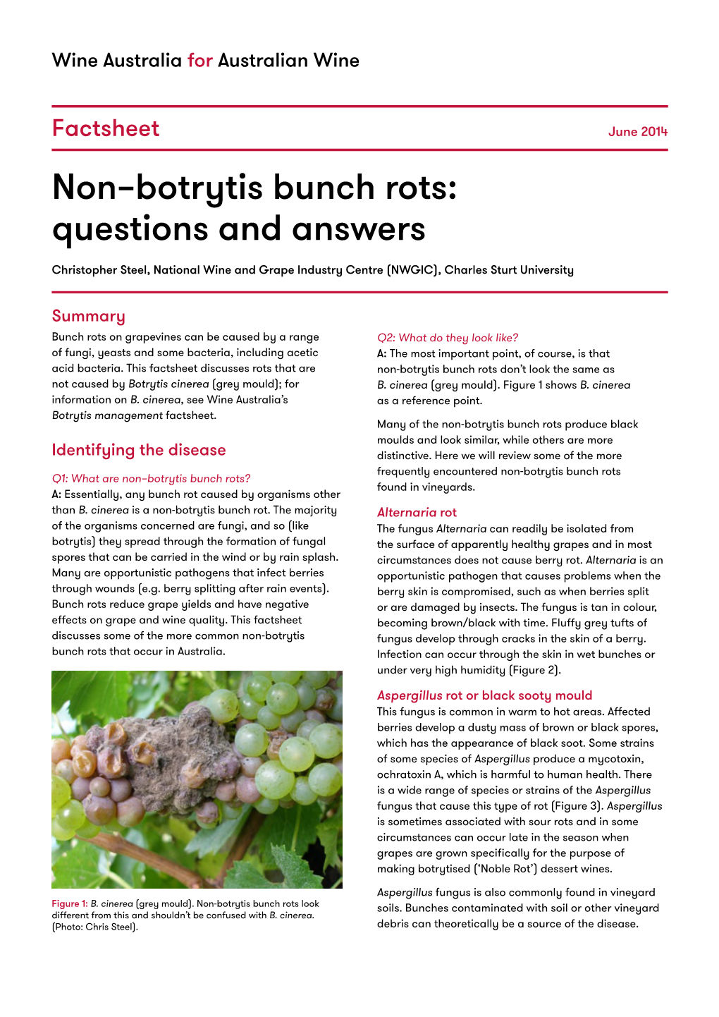 Non–Botrytis Bunch Rots: Questions and Answers