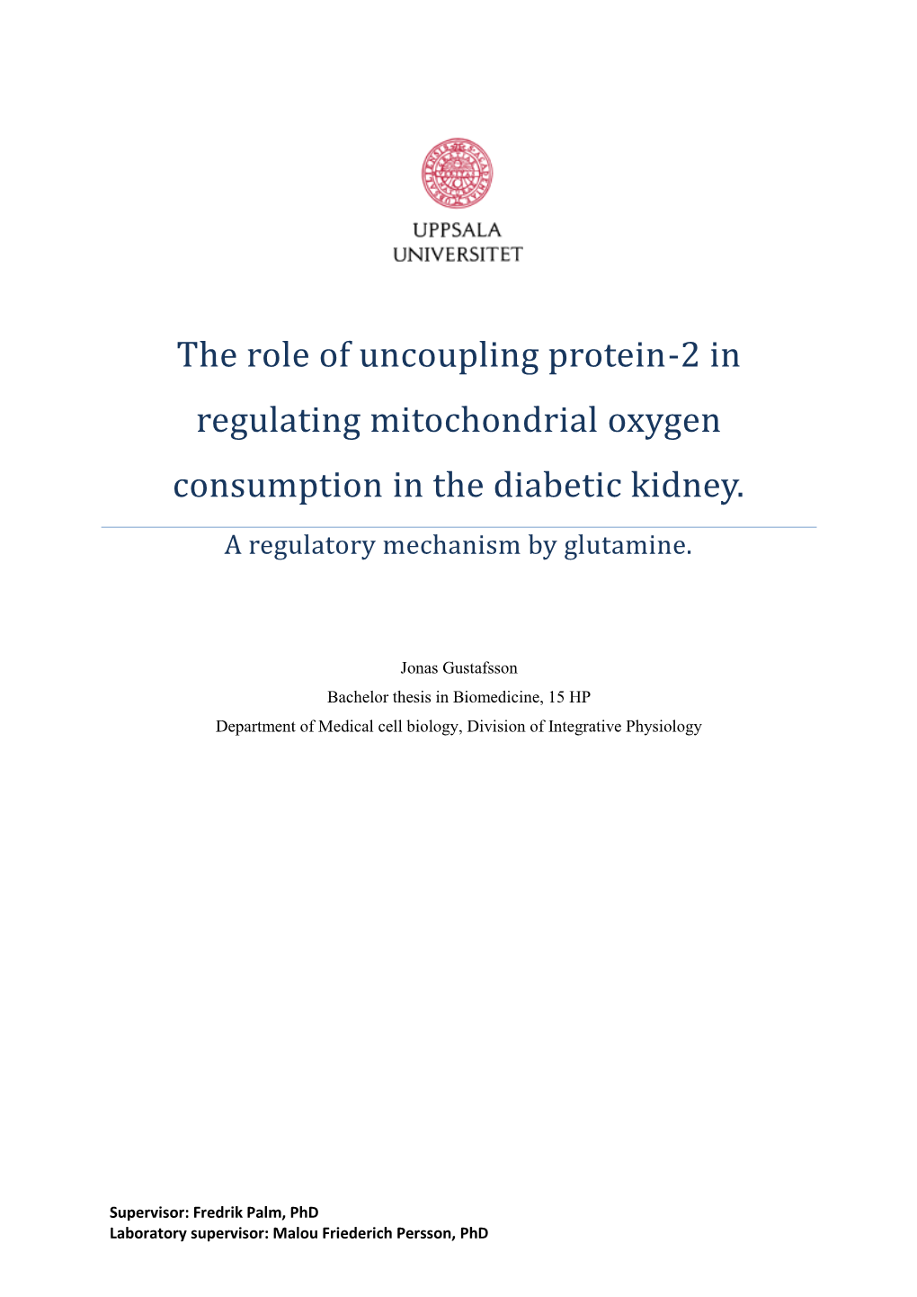 The Role of Uncoupling Protein-2 in Regulating Mitochondrial Oxygen