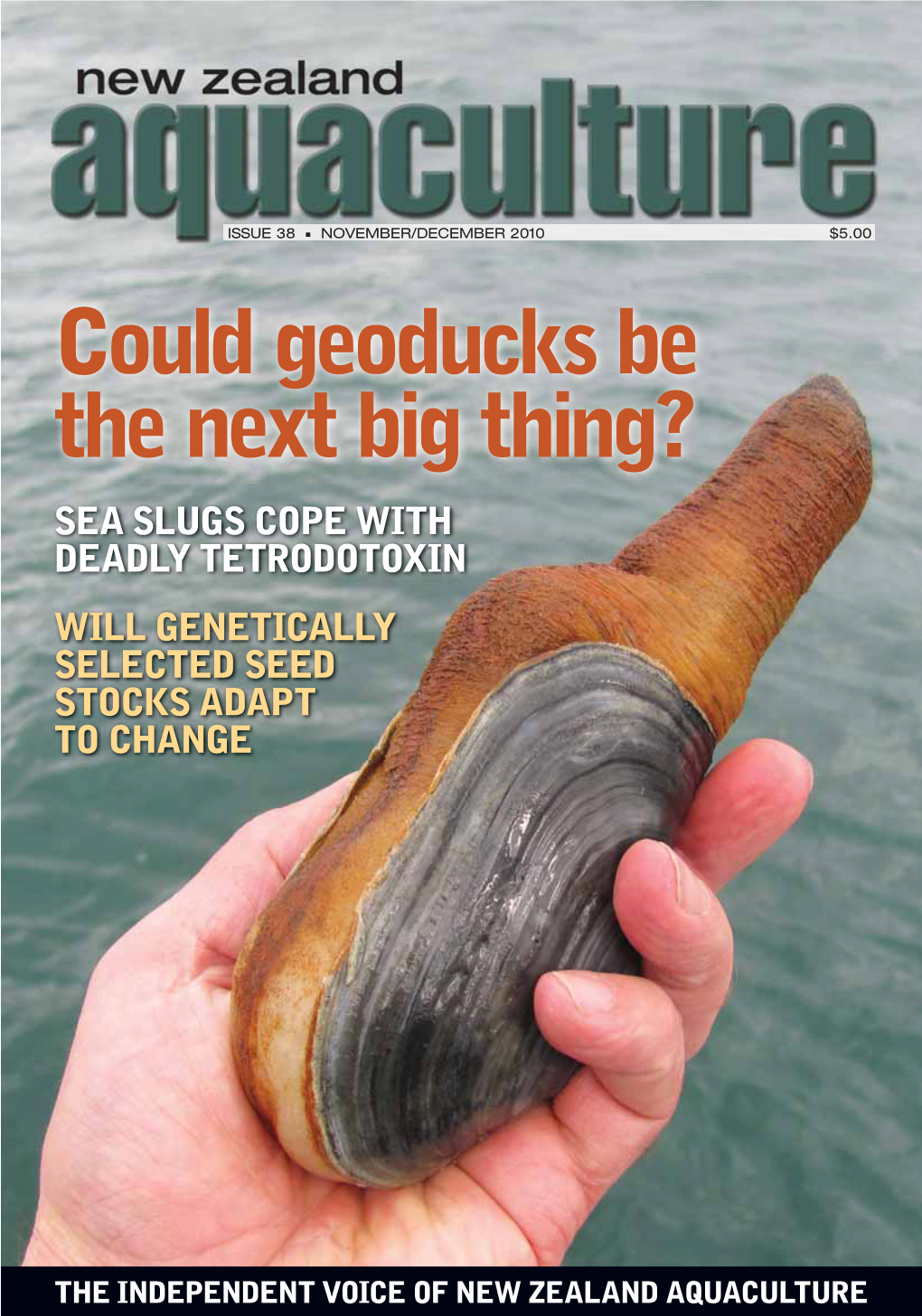 Could Geoducks Be the Next Big Thing? SEA SLUGS COPE with DEADLY TETRODOTOXIN WILL GENETICALLY SELECTED SEED STOCKS ADAPT to CHANGE