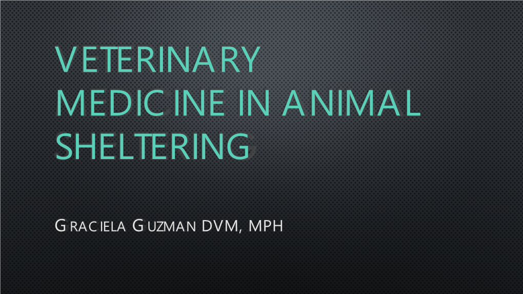 Veterinary Medicine in Animal Sheltering