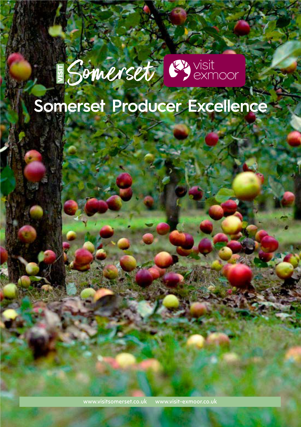 Somerset Producer Excellence