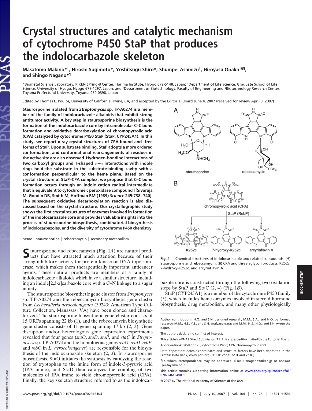 Crystal Structures and Catalytic Mechanism of Cytochrome P450 Stap That Produces the Indolocarbazole Skeleton