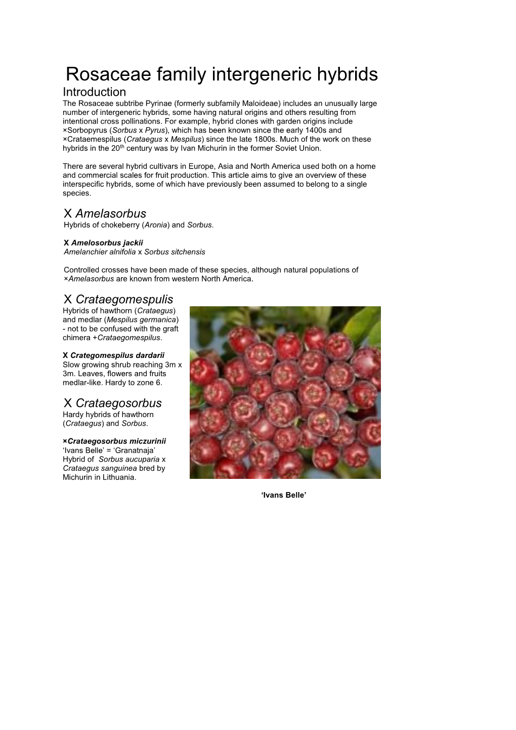 Rosaceae Family Intergeneric Hybrids