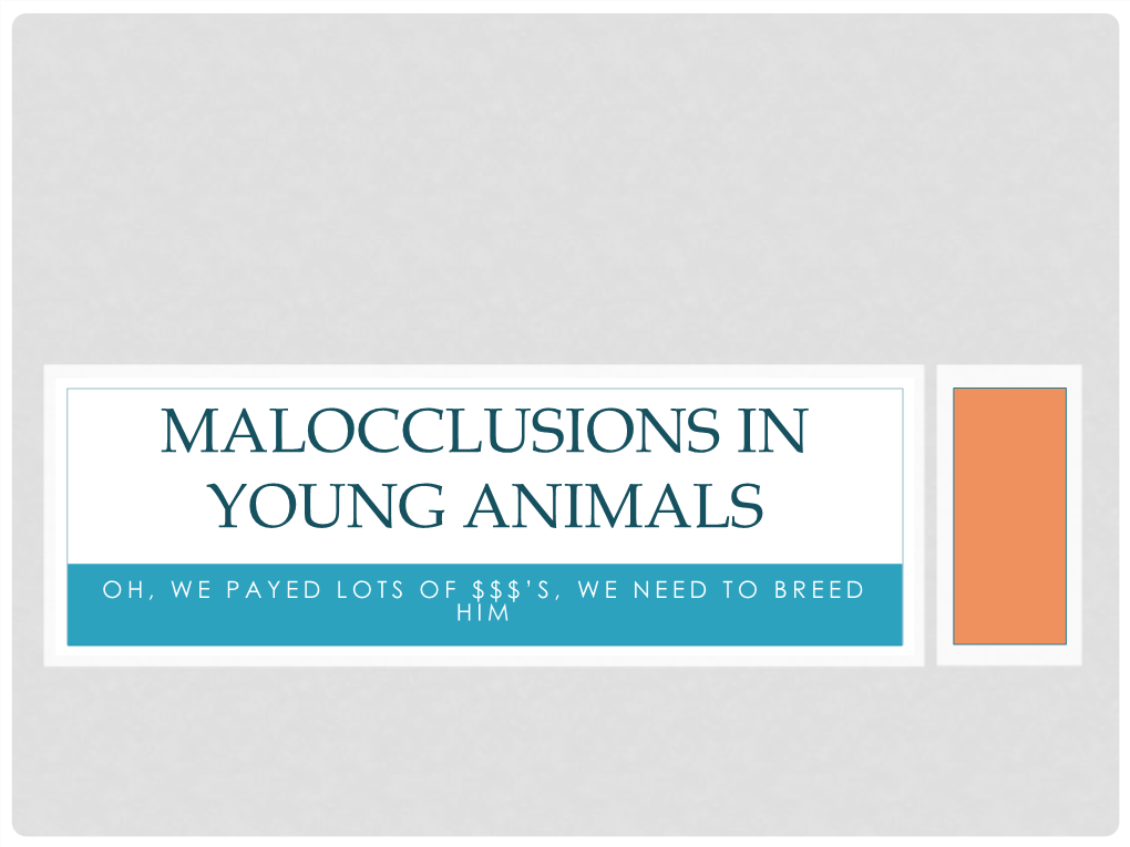 Malocclusions in Young Animals