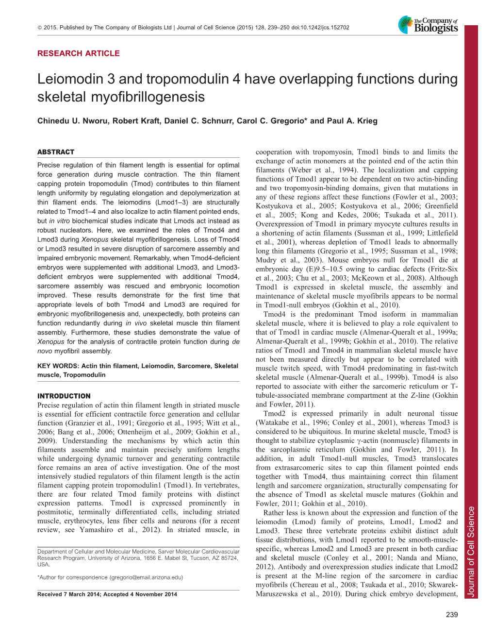 Leiomodin 3 and Tropomodulin 4 Have Overlapping Functions During Skeletal Myofibrillogenesis