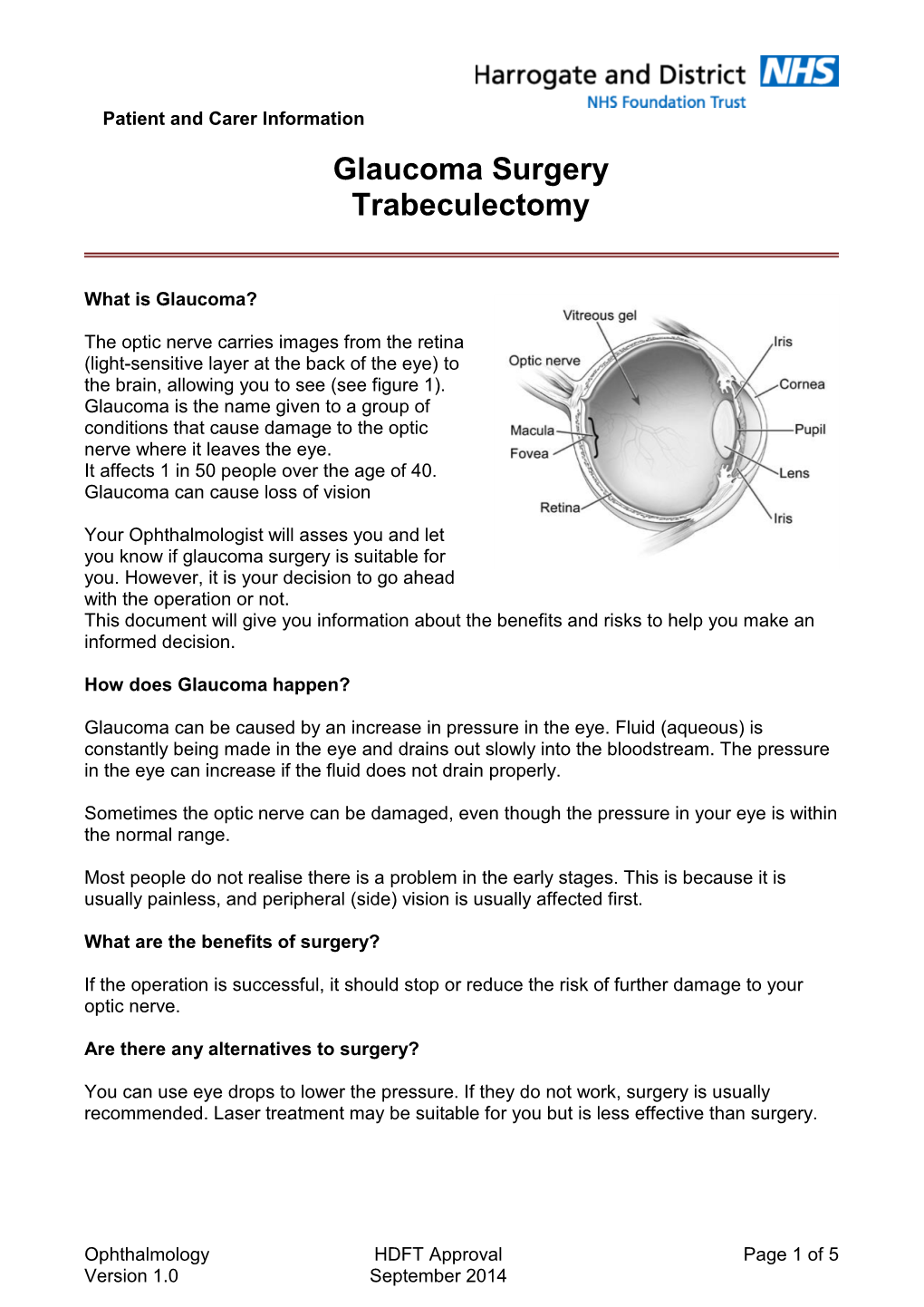 Glaucoma Surgery Trabeculectomy