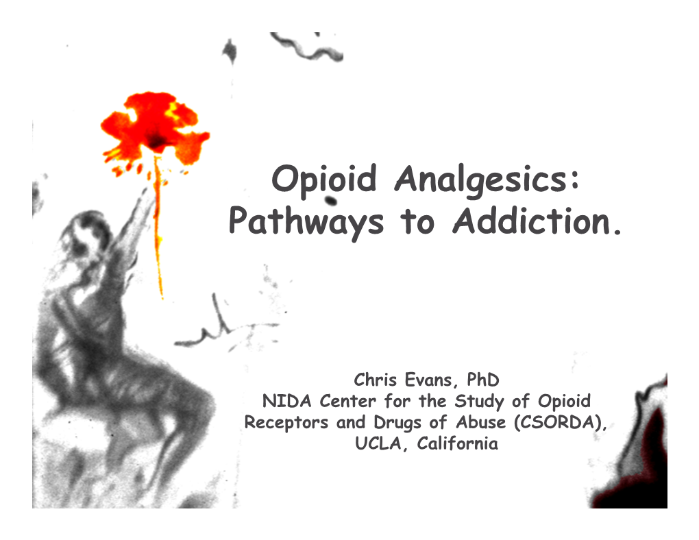 Opioid Analgesics: Pathways to Addiction