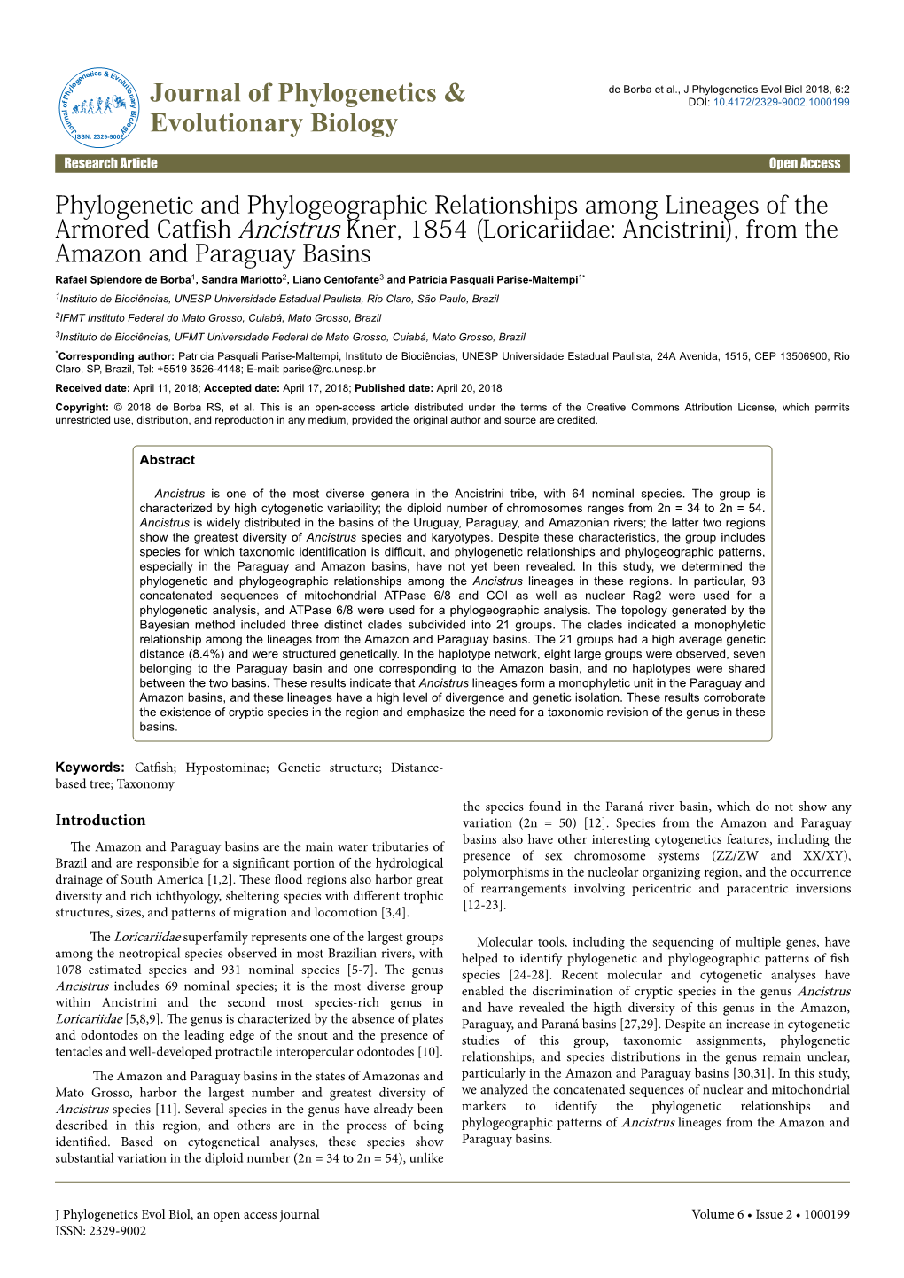 Phylogenetic and Phylogeographic Relationships Among Lineages of the Armored Catfish Ancistrus Kner, 1854 (Loricariidae: Ancistr