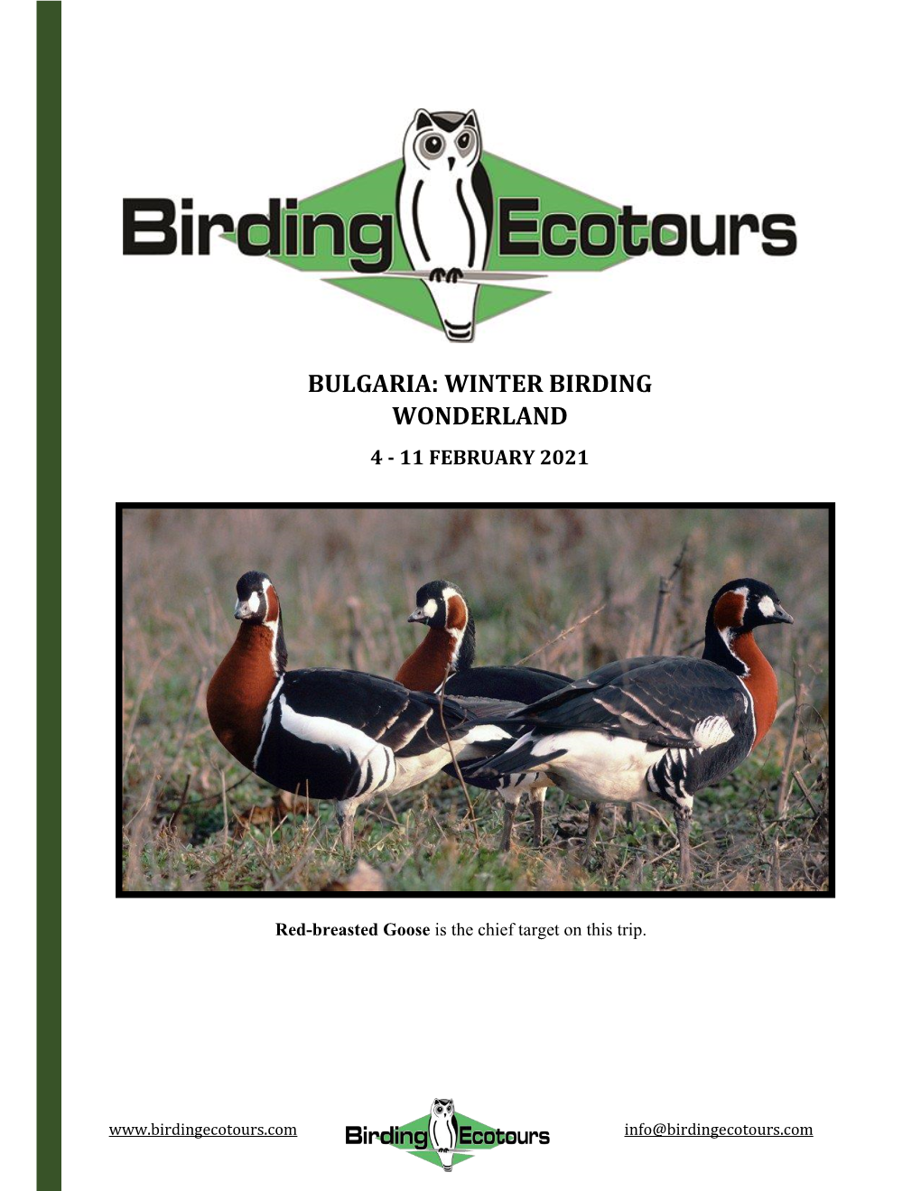 Bulgaria: Winter Birding Wonderland