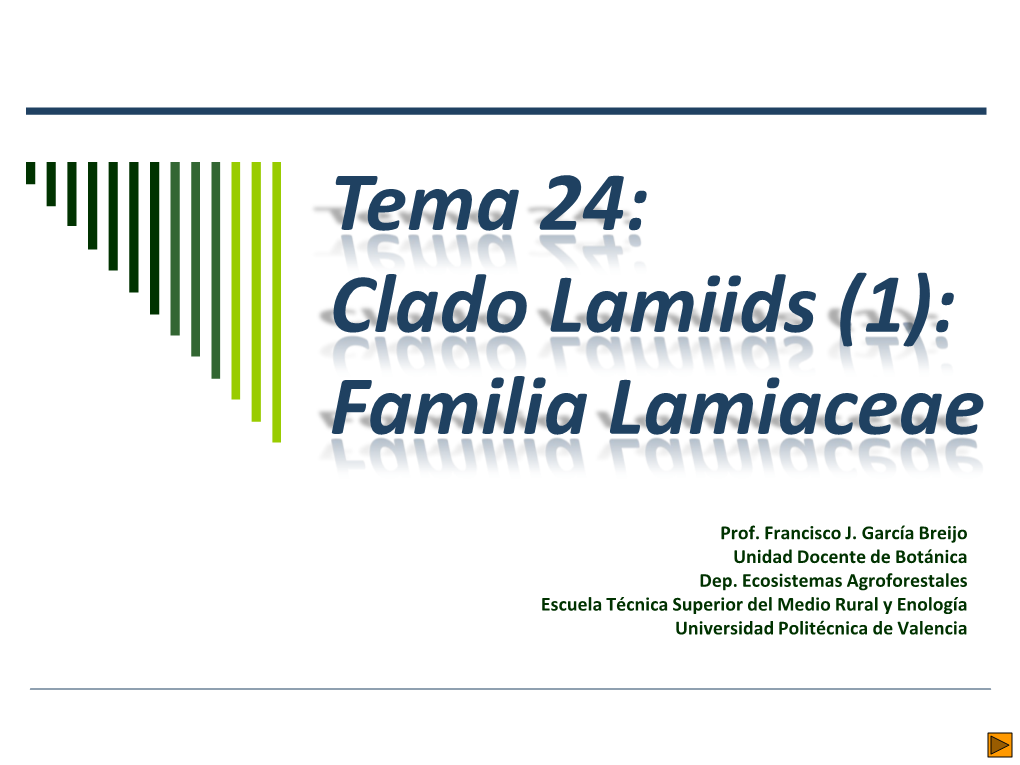 Familia Lamiaceae