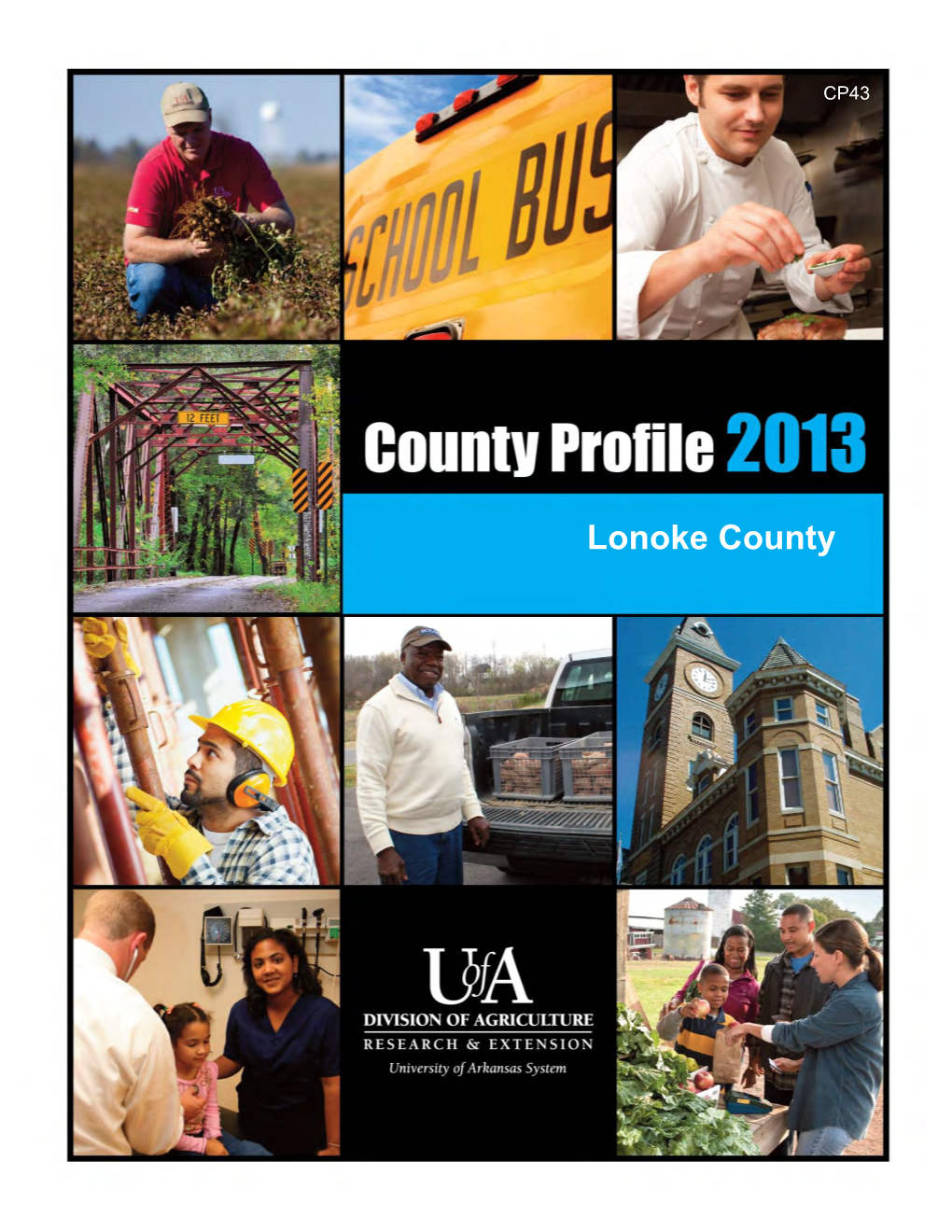 Lonoke County LONOKE COUNTY PROFILE 2013