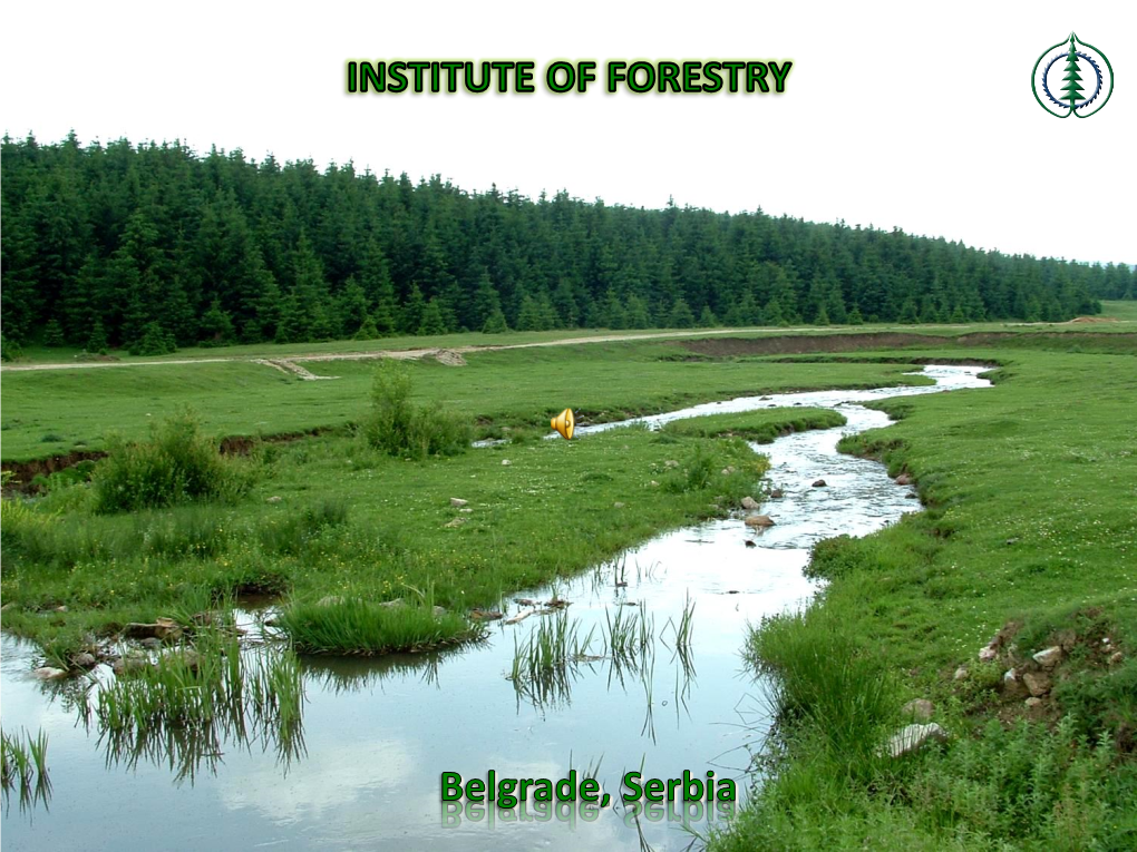 Institute of Forestry Was Founded in 1946