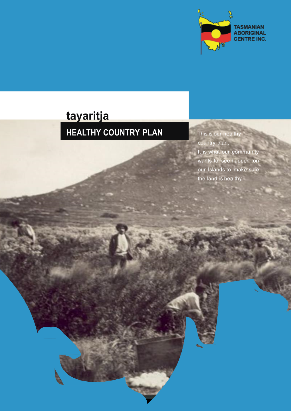 Tayaritja Healthy Country Plan to Encompass Tayaritja