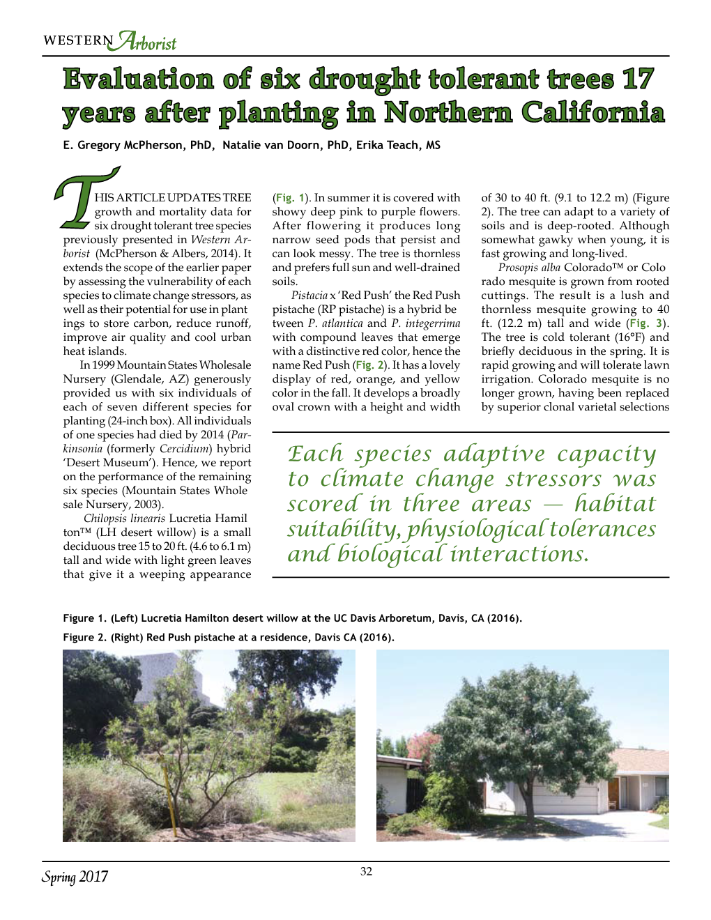 Evaluation of Six Drought Tolerant Trees 17 Years After Planting in Northern California E