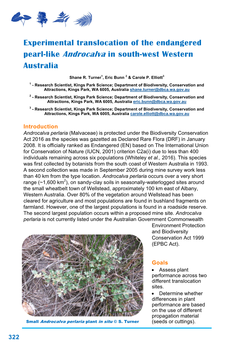 Experimental Translocation of the Endangered Pearl-Like Androcalva in South-West Western Australia