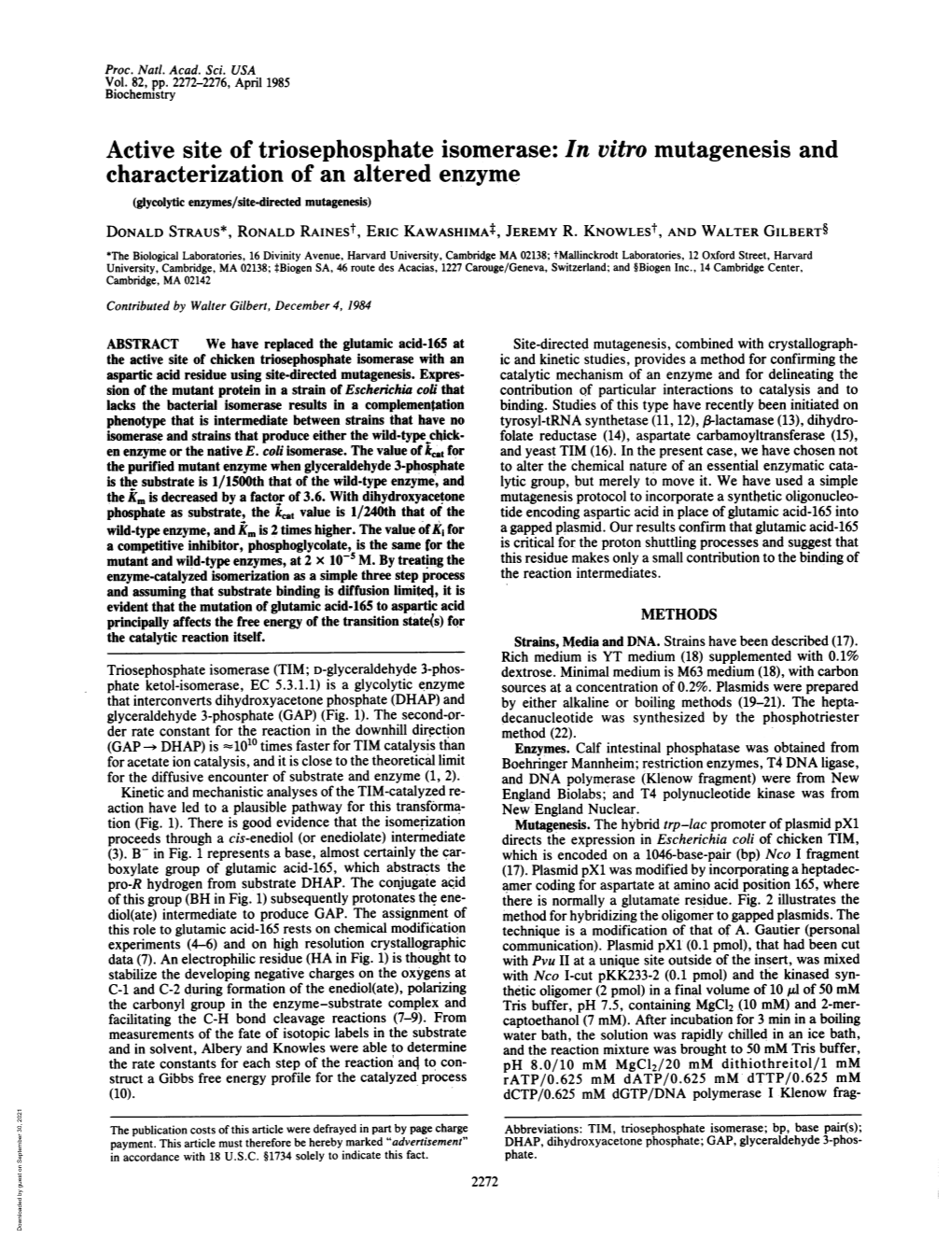 Characterization of an Altered Enzyme (Glycolytic Enzymes/Site-Directed Mutagenesis) DONALD STRAUS*, RONALD Rainest, ERIC Kawashimat, JEREMY R