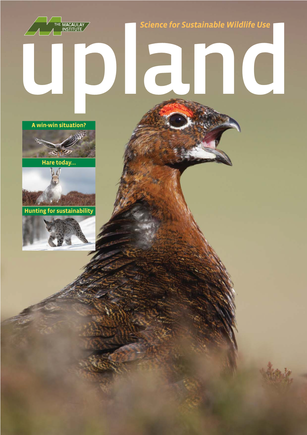 Upland Magazine-Print