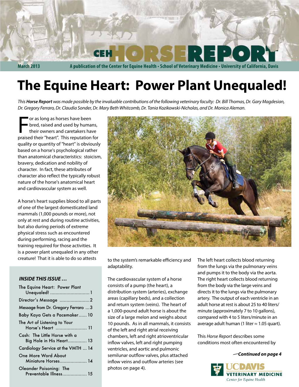 The Equine Heart: Power Plant Unequaled!