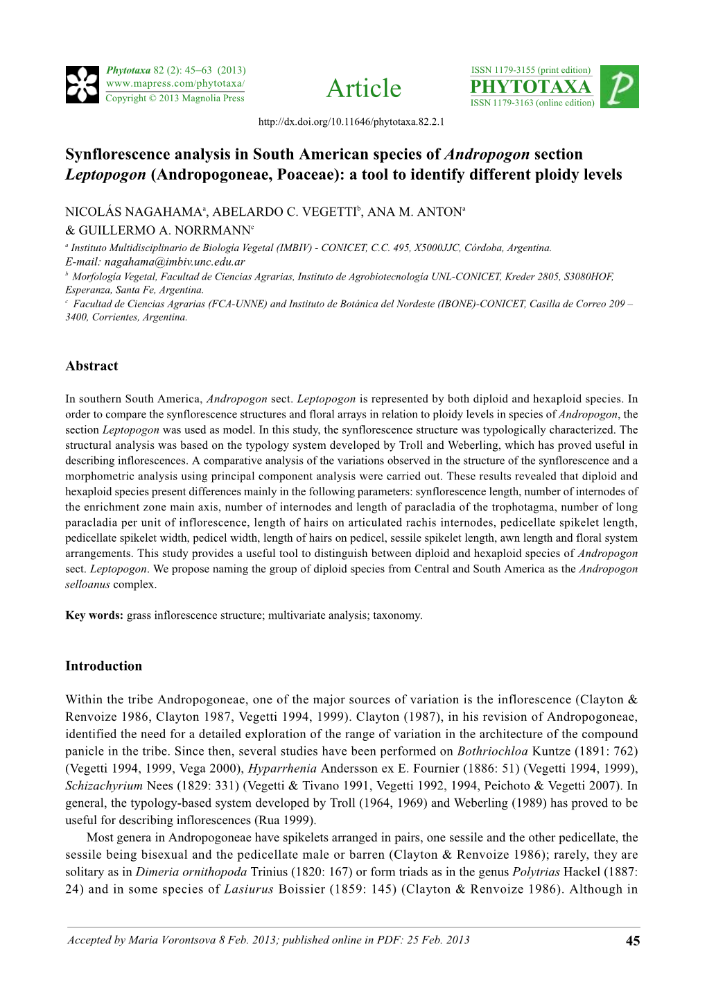 Synflorescence Analysis in South American Species of Andropogon Section Leptopogon (Andropogoneae, Poaceae): a Tool to Identify Different Ploidy Levels