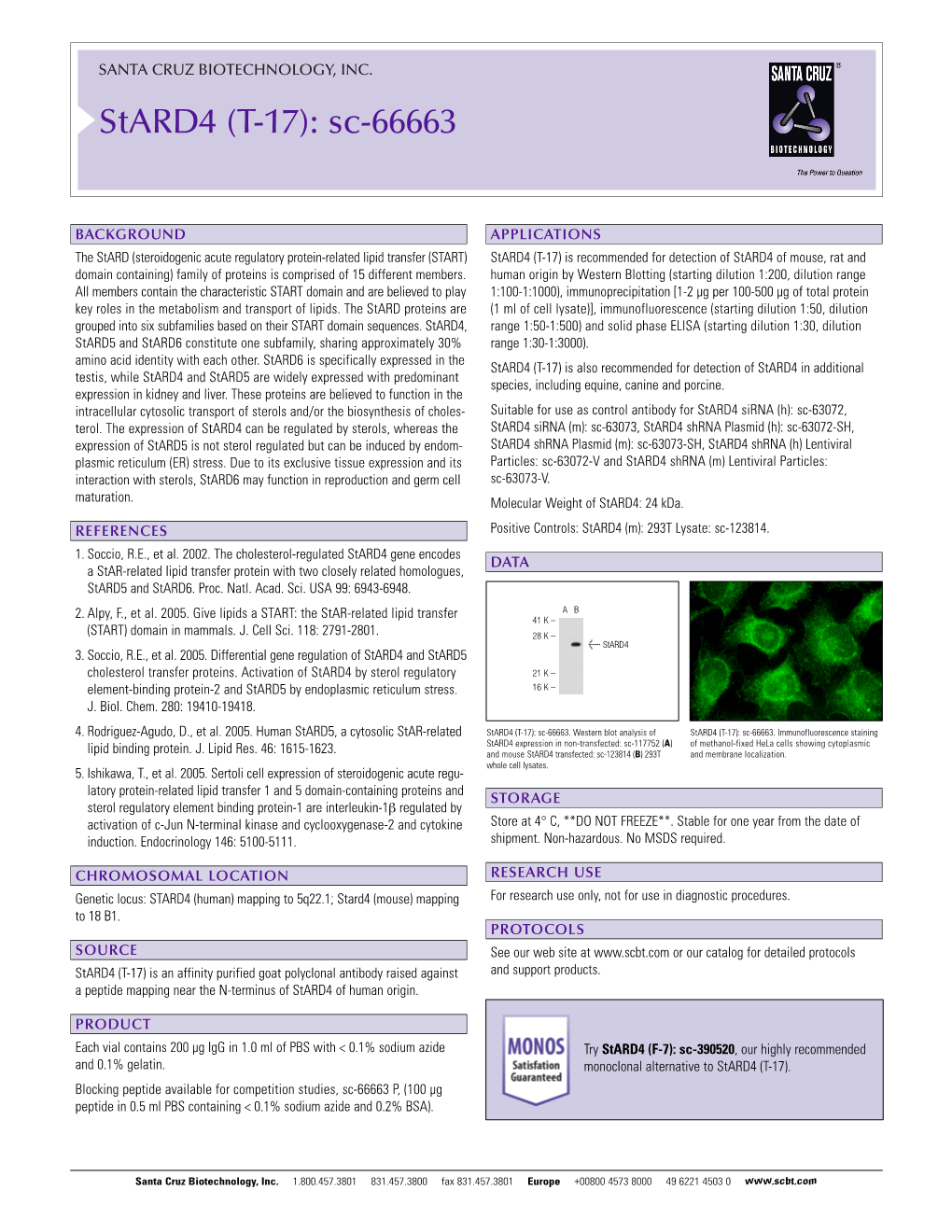 Datasheet Blank Template