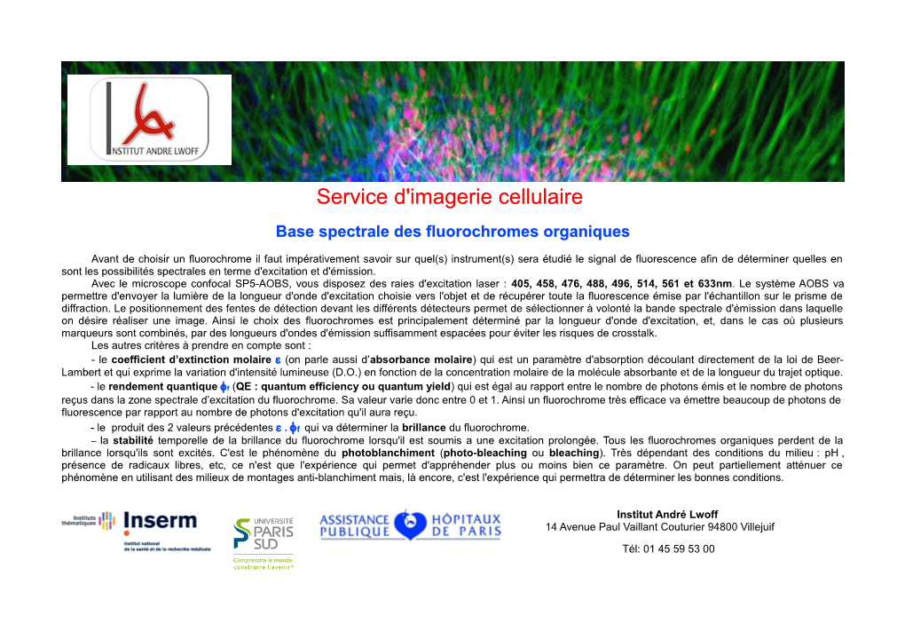 Base Spectrale Des Fluorochromes Organiques