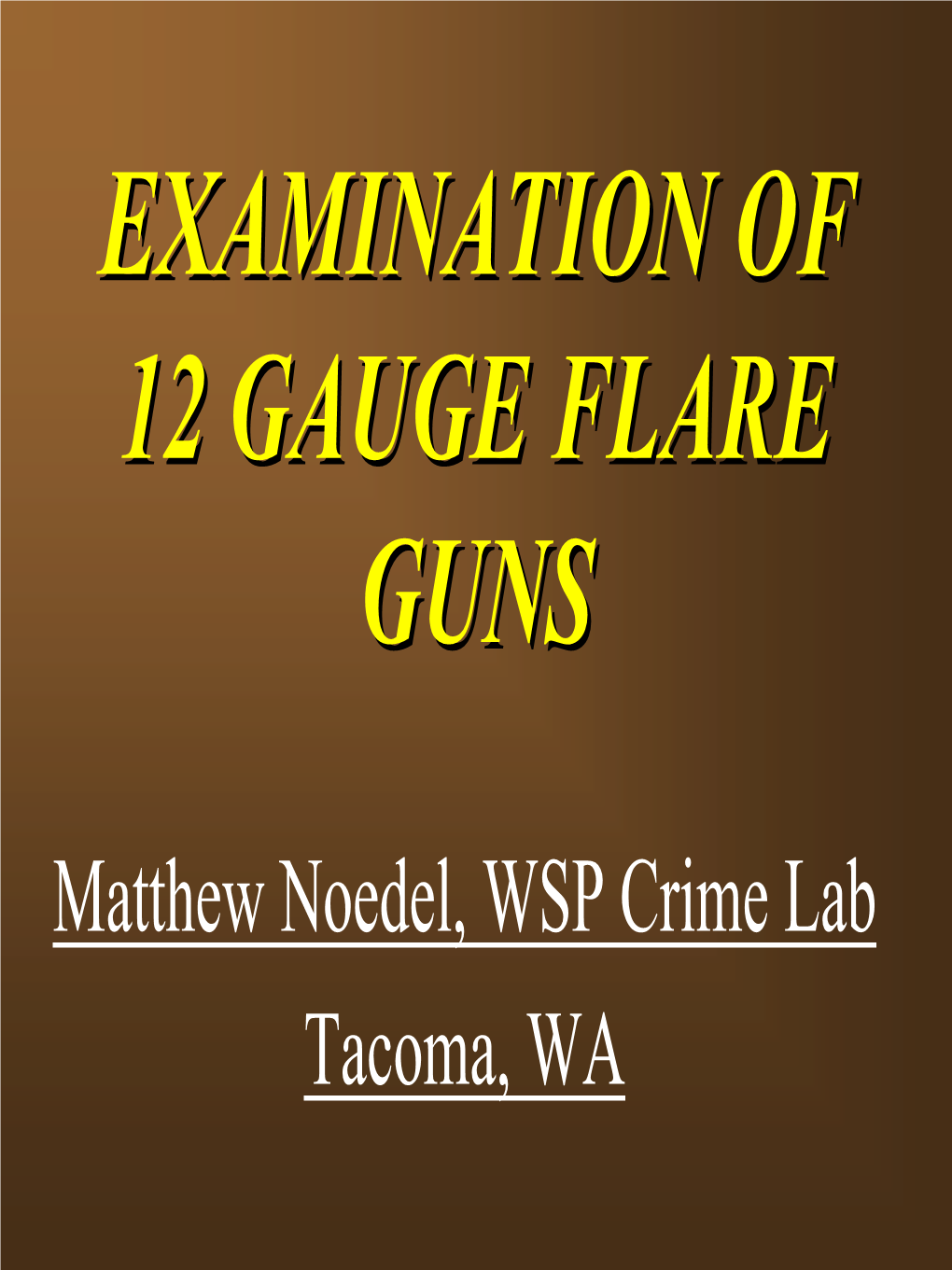 Flareflare Gunsguns