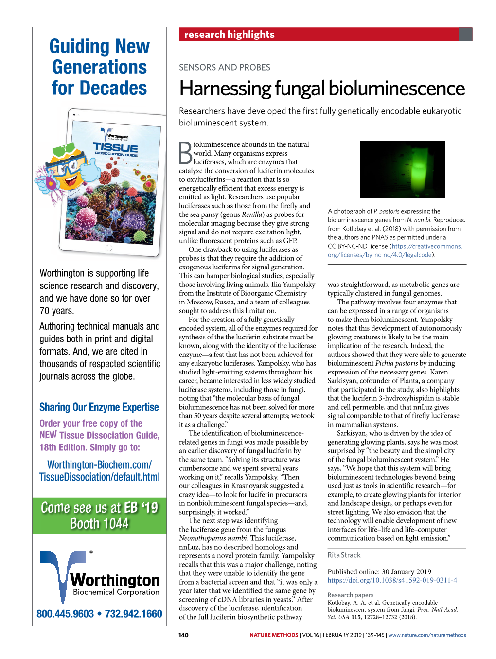 Optogenetic Tools Light up Phase Separation