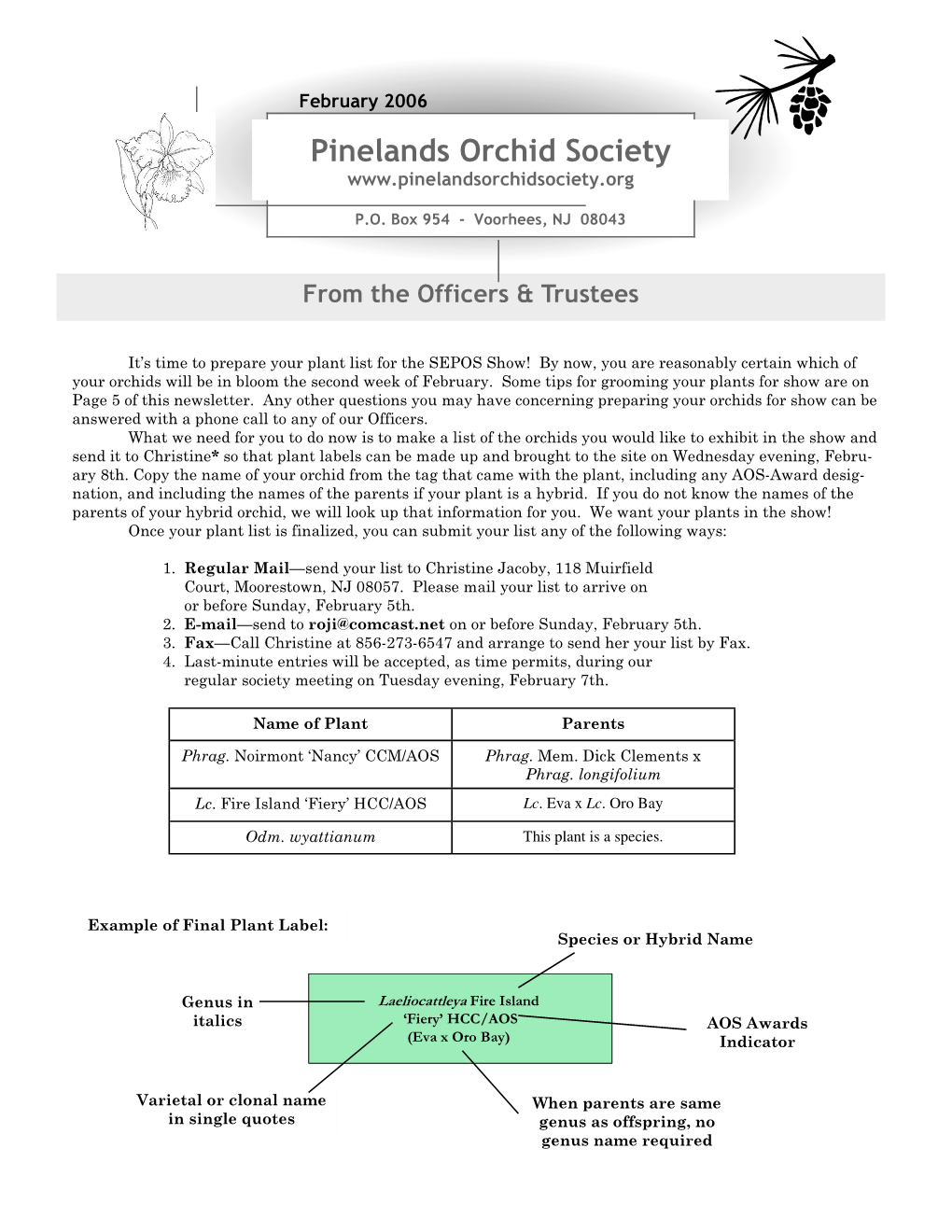 Pinelands Orchid Society Newsletter February 2006-Edited Version.Pub