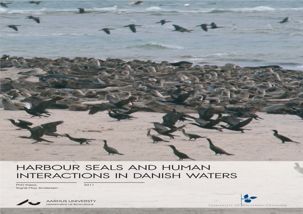 HARBOUR SEALS and HUMAN INTERACTIONS in DANISH WATERS Harbour Sealsandhumaninteractions Indanishwaters