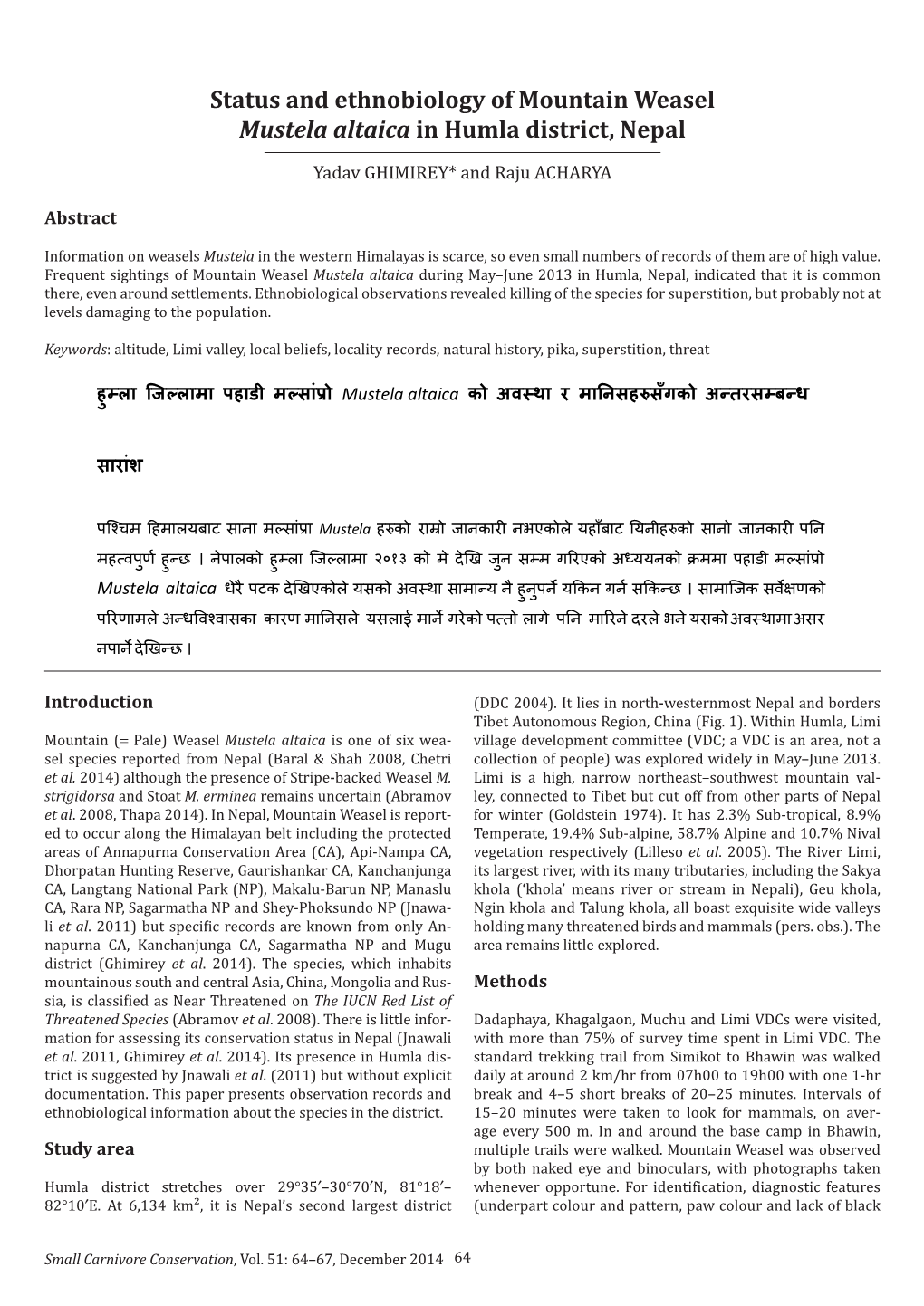 Status and Ethnobiology of Mountain Weasel Mustela Altaica in Humla District, Nepal