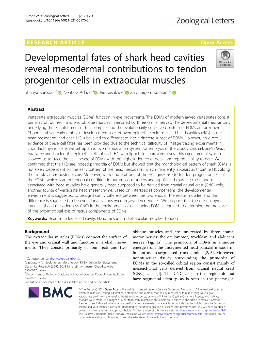 Developmental Fates of Shark Head Cavities Reveal Mesodermal