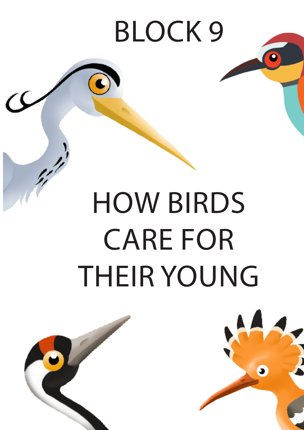 Block 9 How Birds Care for Their Young